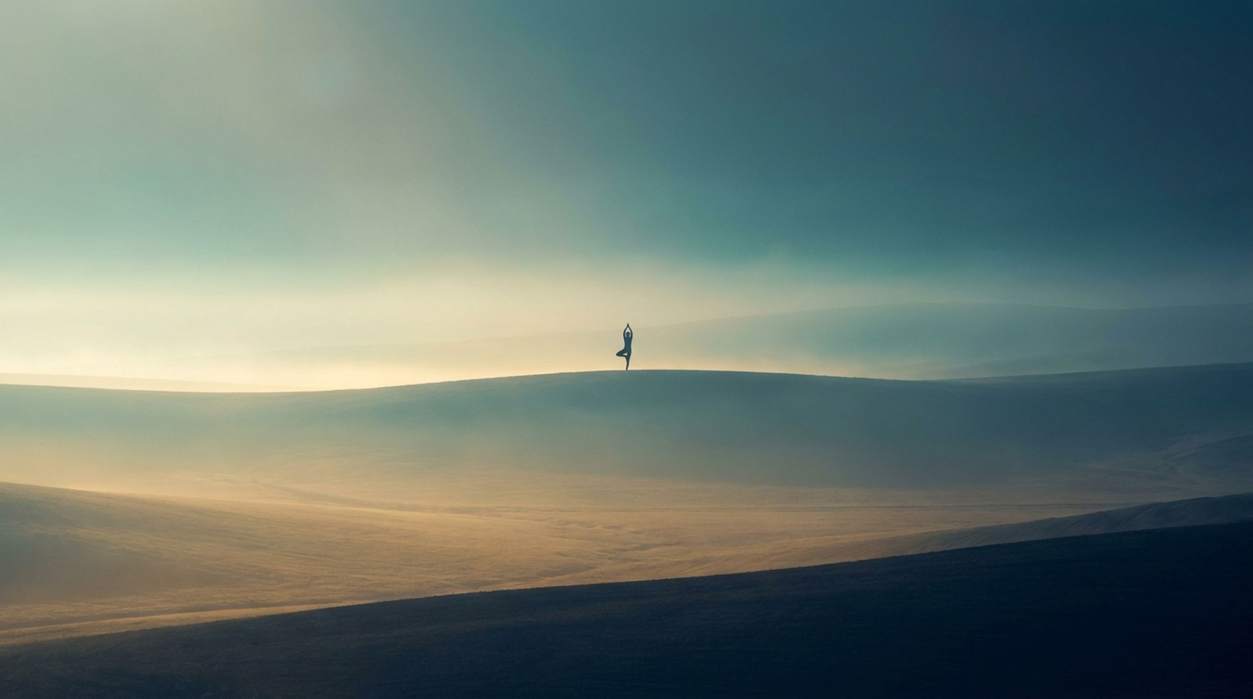Mindful Clarity