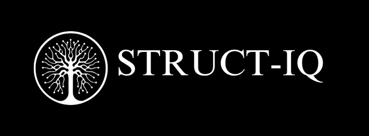 Struct-IQ