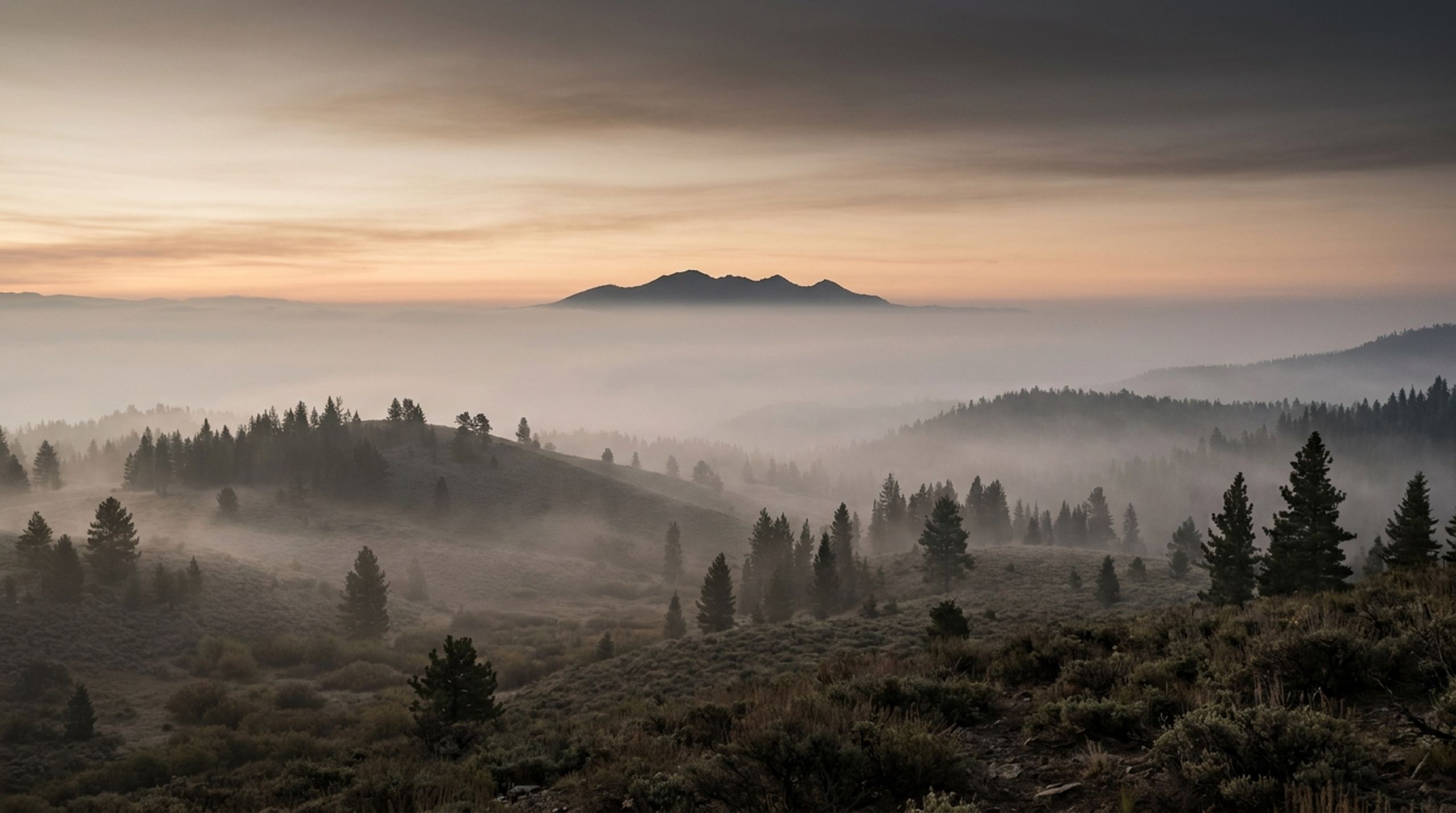 Ridgeline Collective