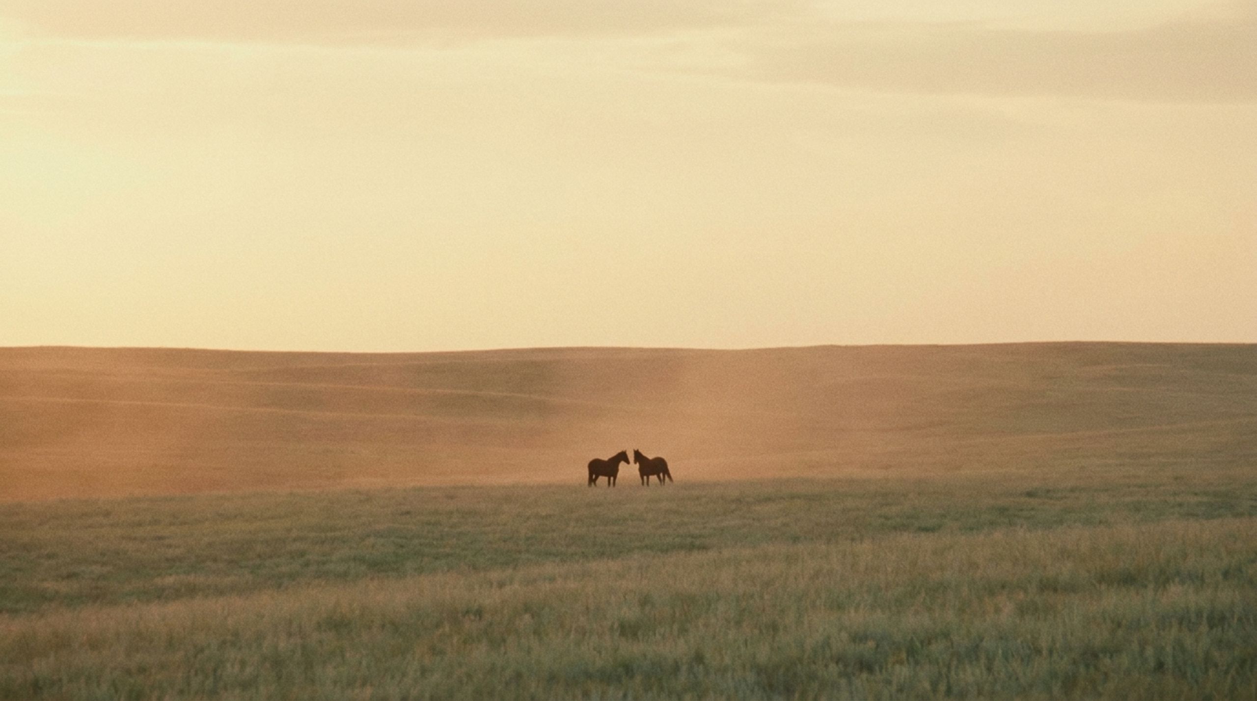 The Corral Co