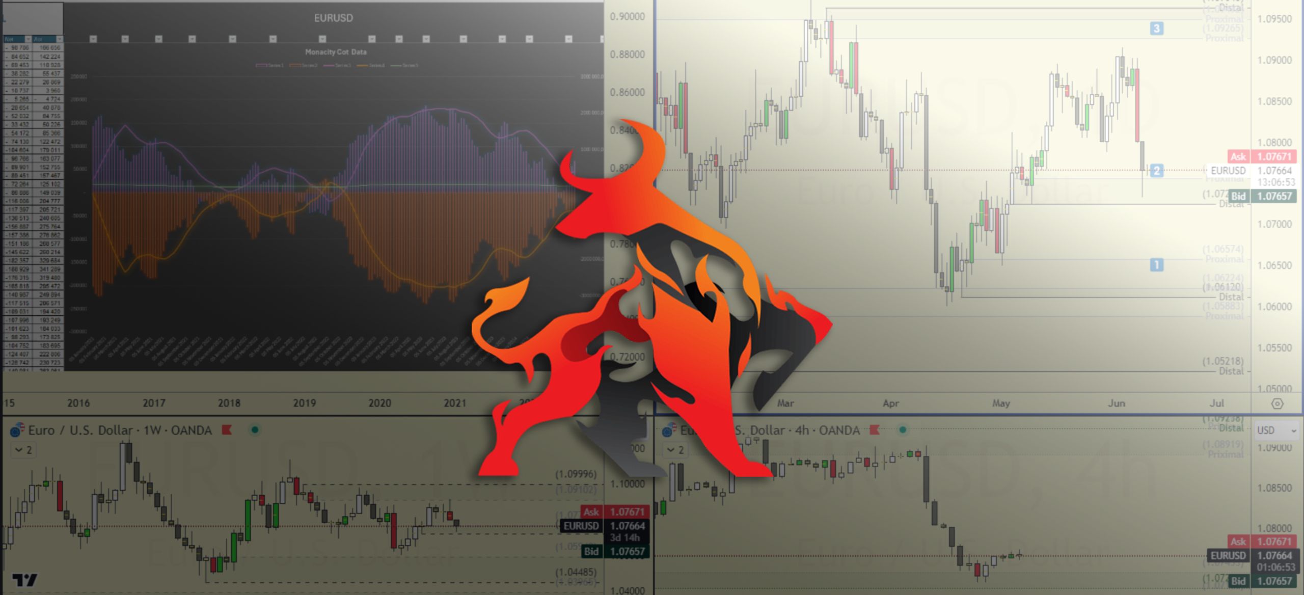 Monancity Report 