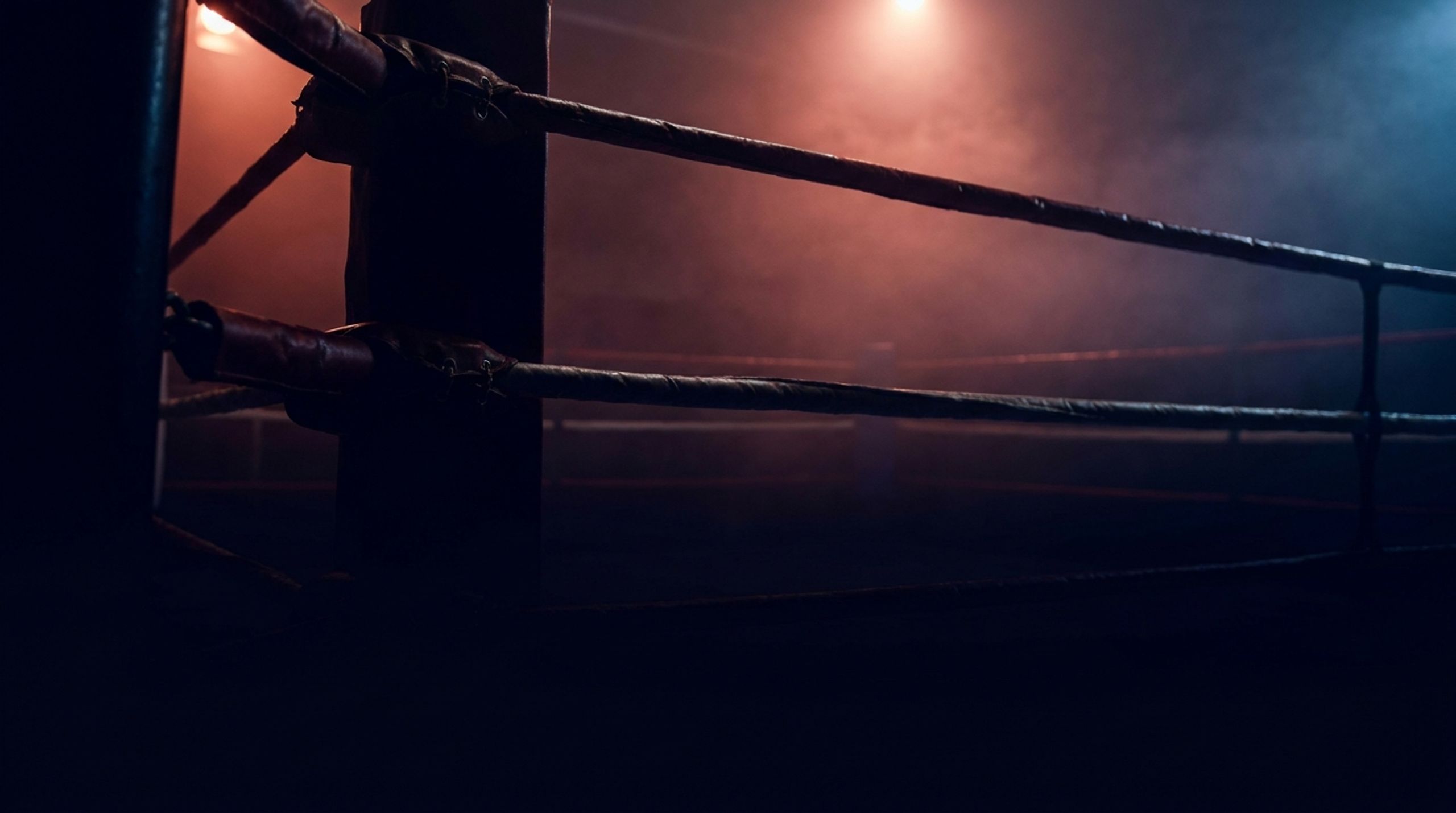 The Boxing Lab