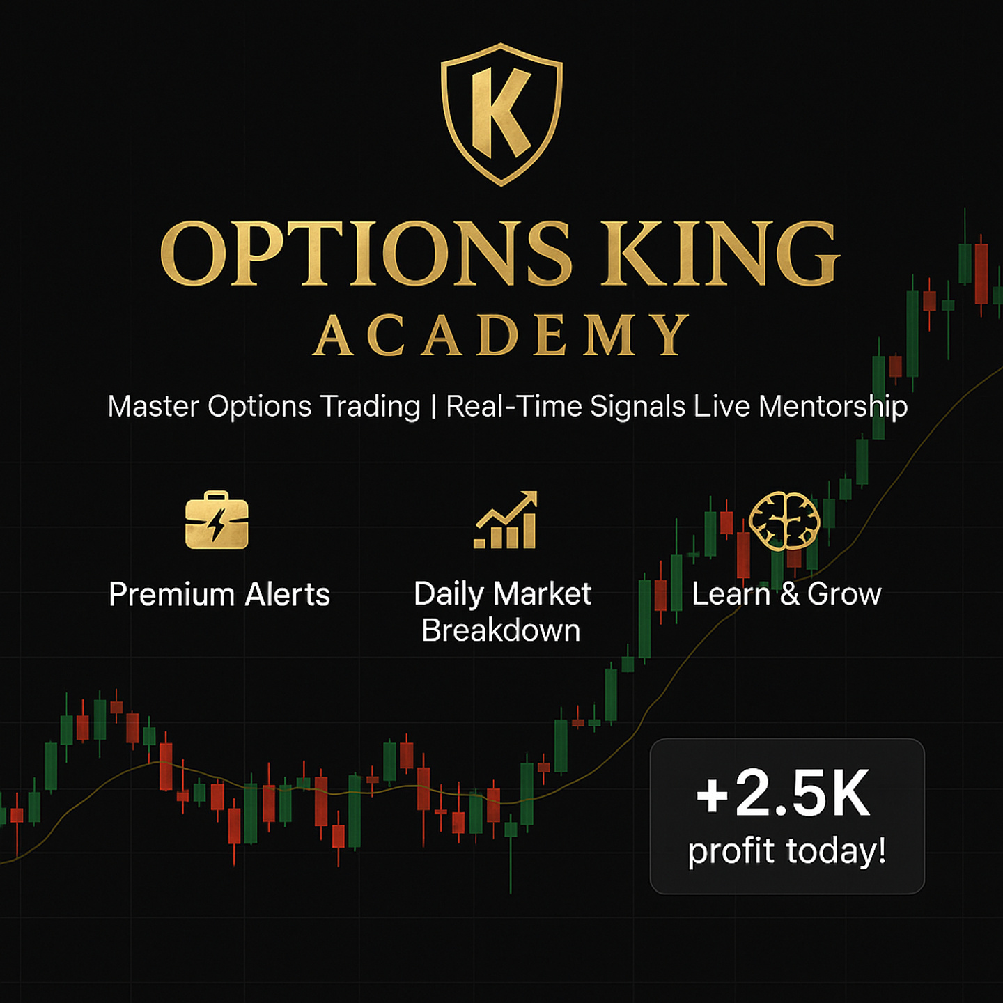 OPTIONS KING PREMIUM SIGNALS