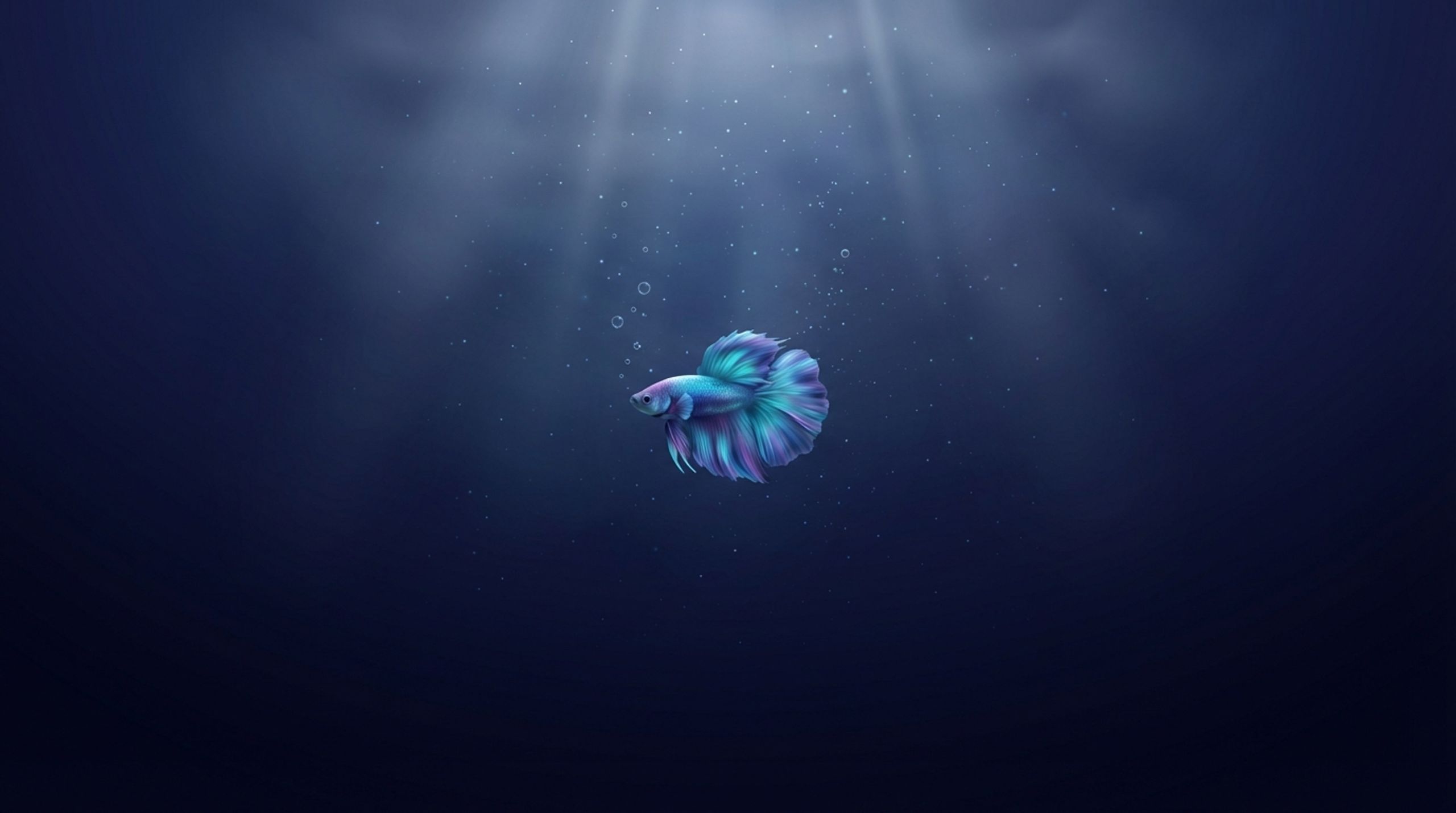 Aquawes