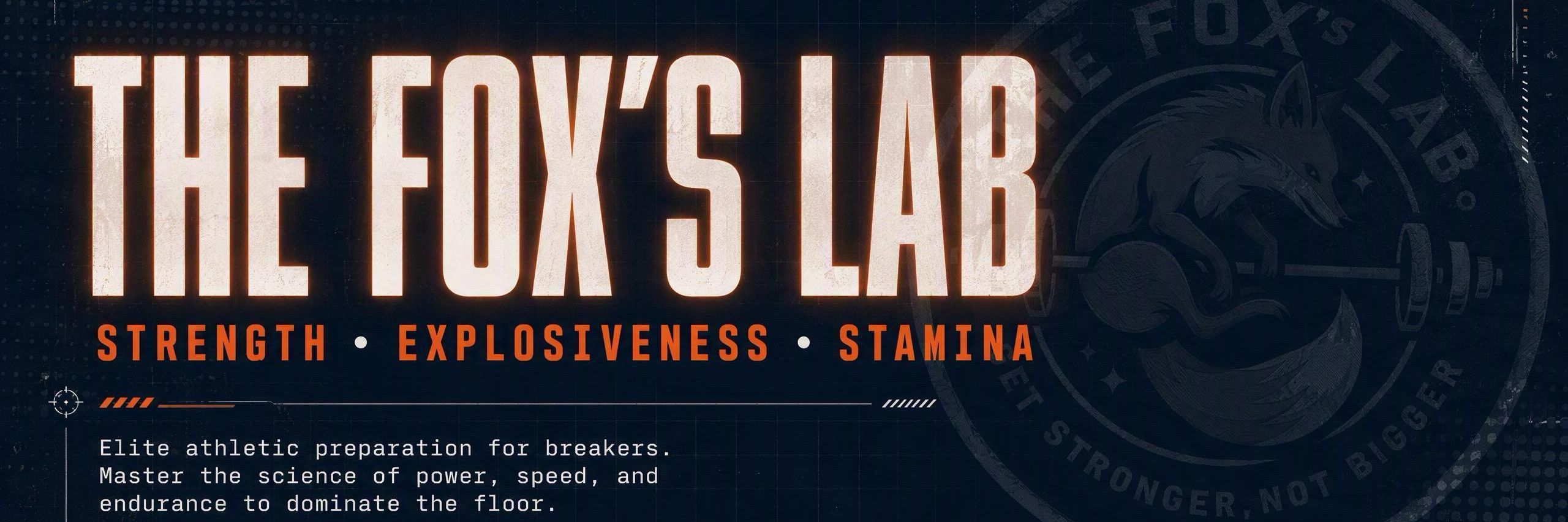 THE FOX'S LAB