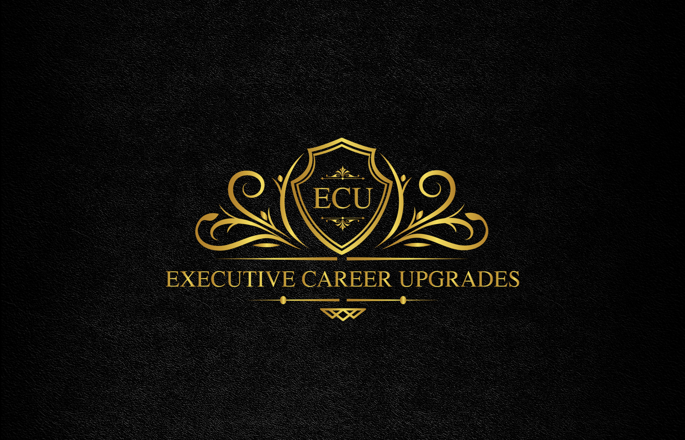 Executive Career Upgrades