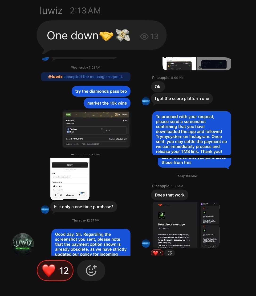 file_9LvJxniPPlRYs