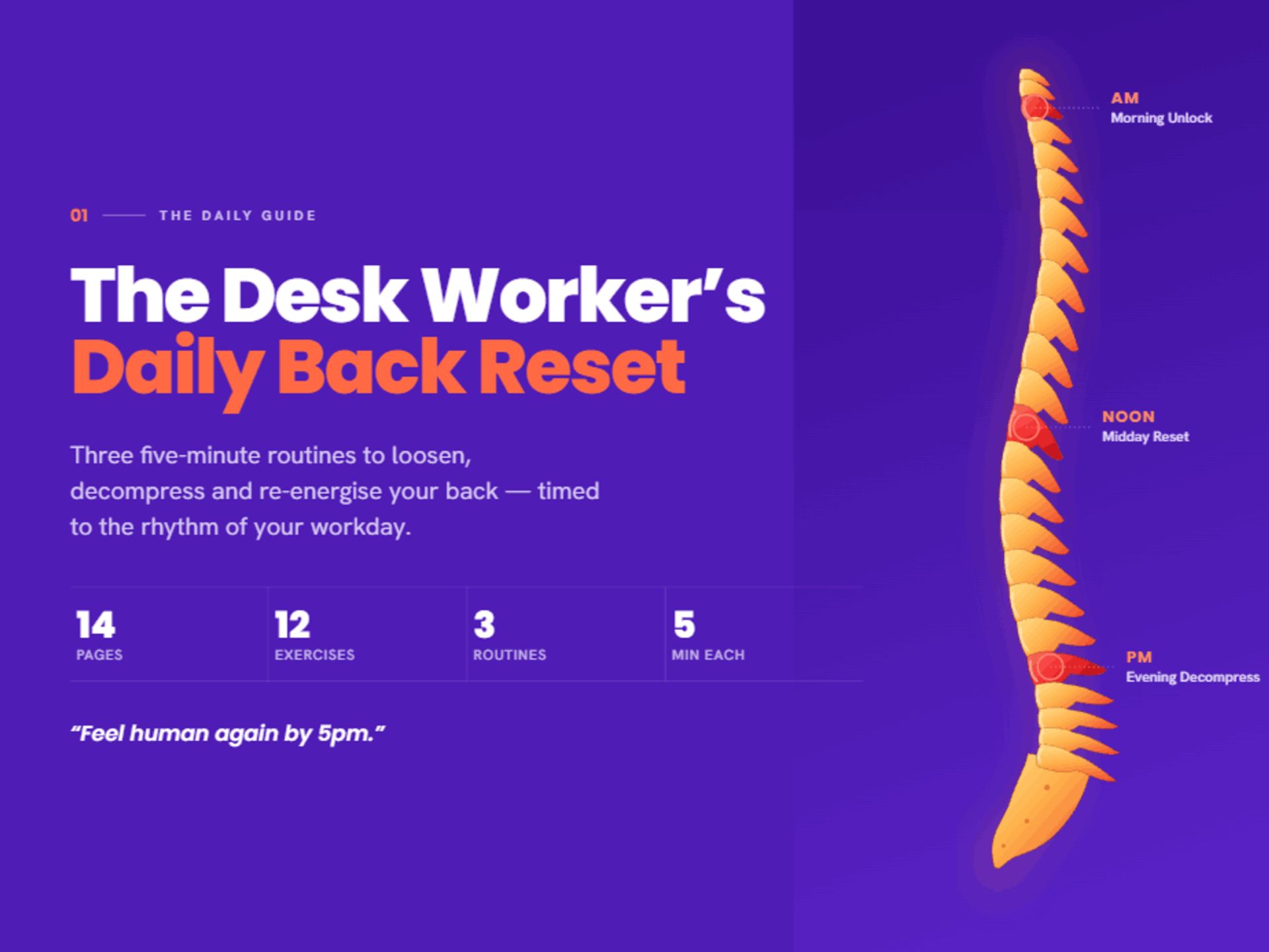 The Desk Worker’s Back Reset