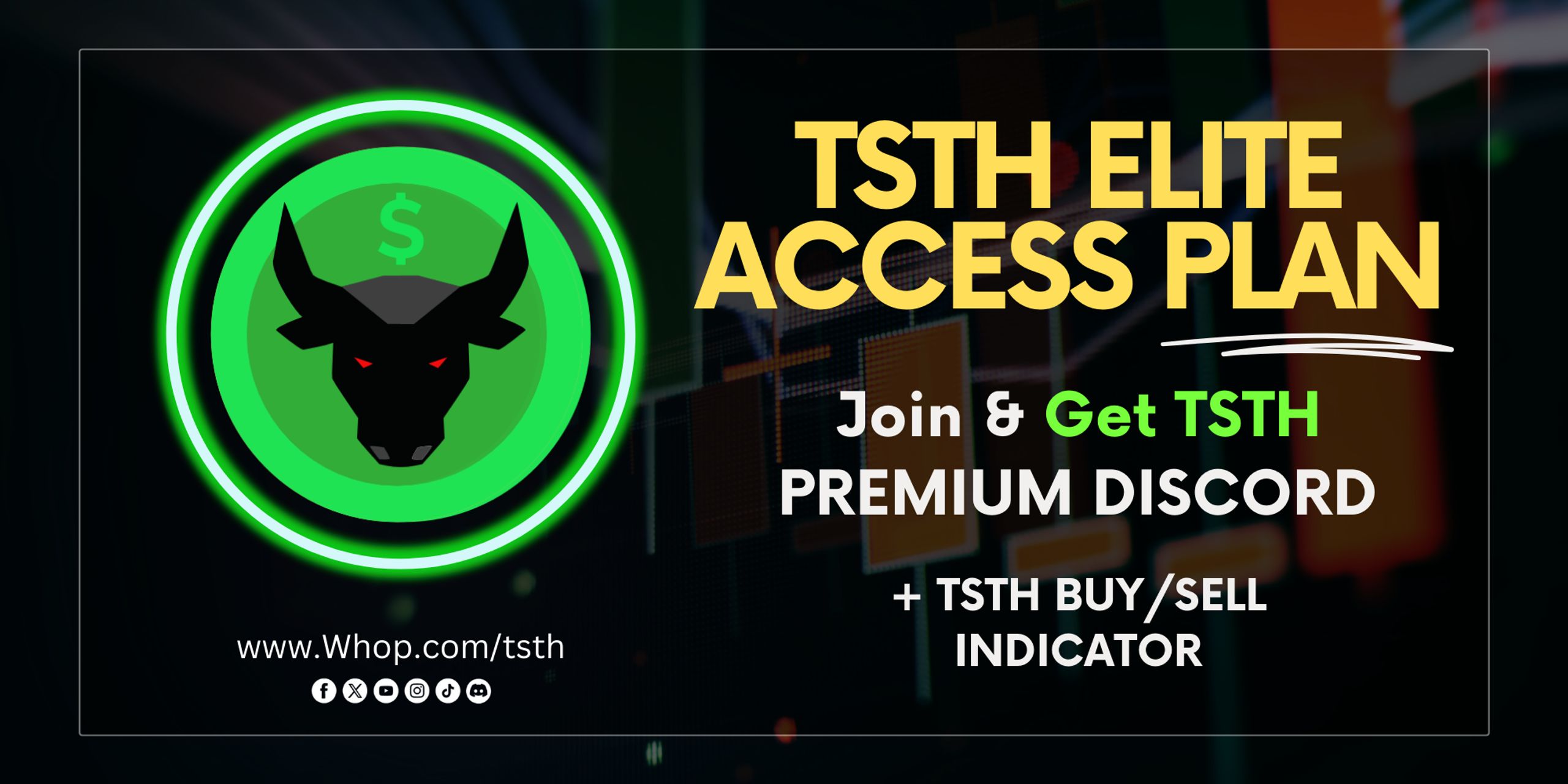THE STOCK TRADER HUB