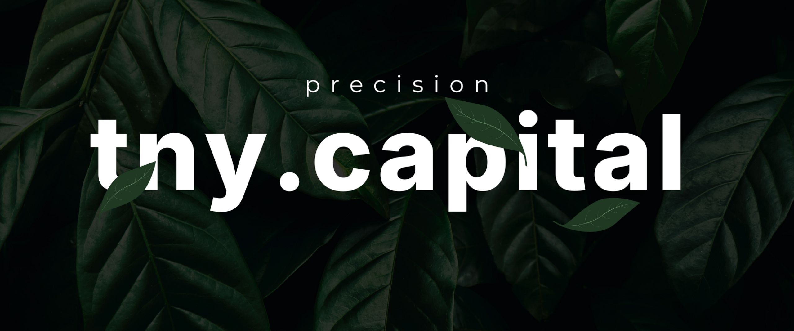 tny.capital