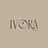 Ivora logo