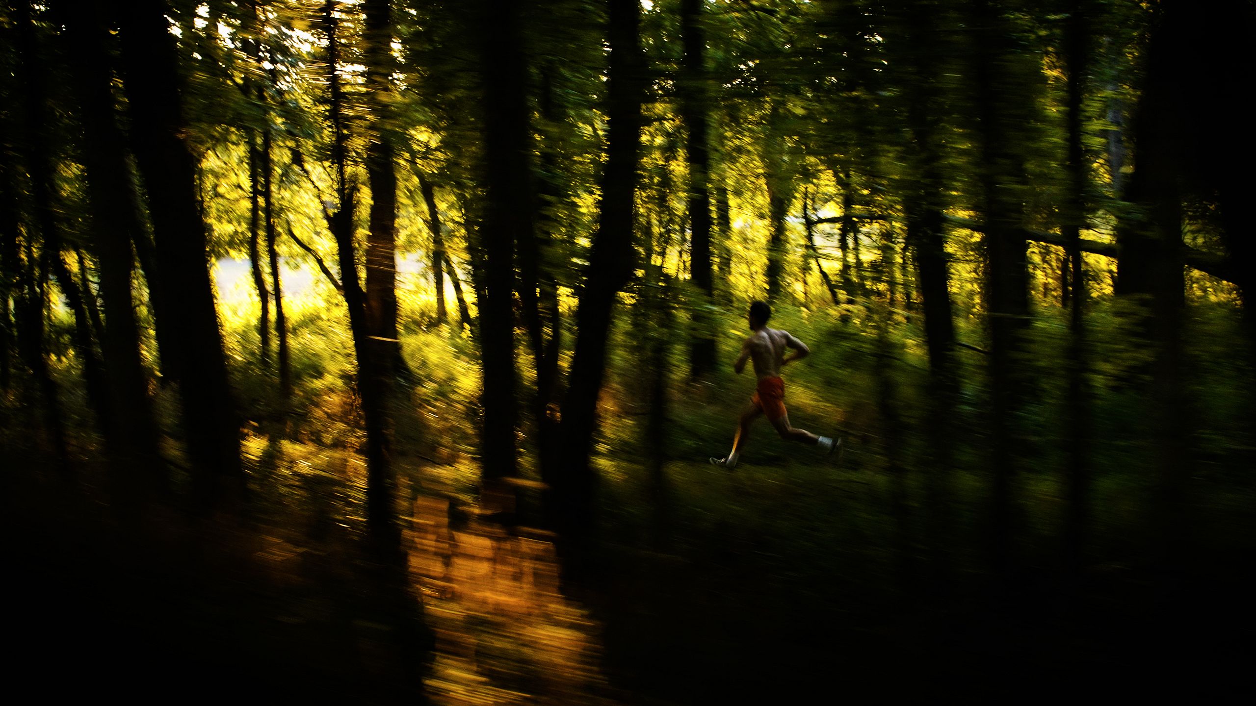 Movement Filmmaker