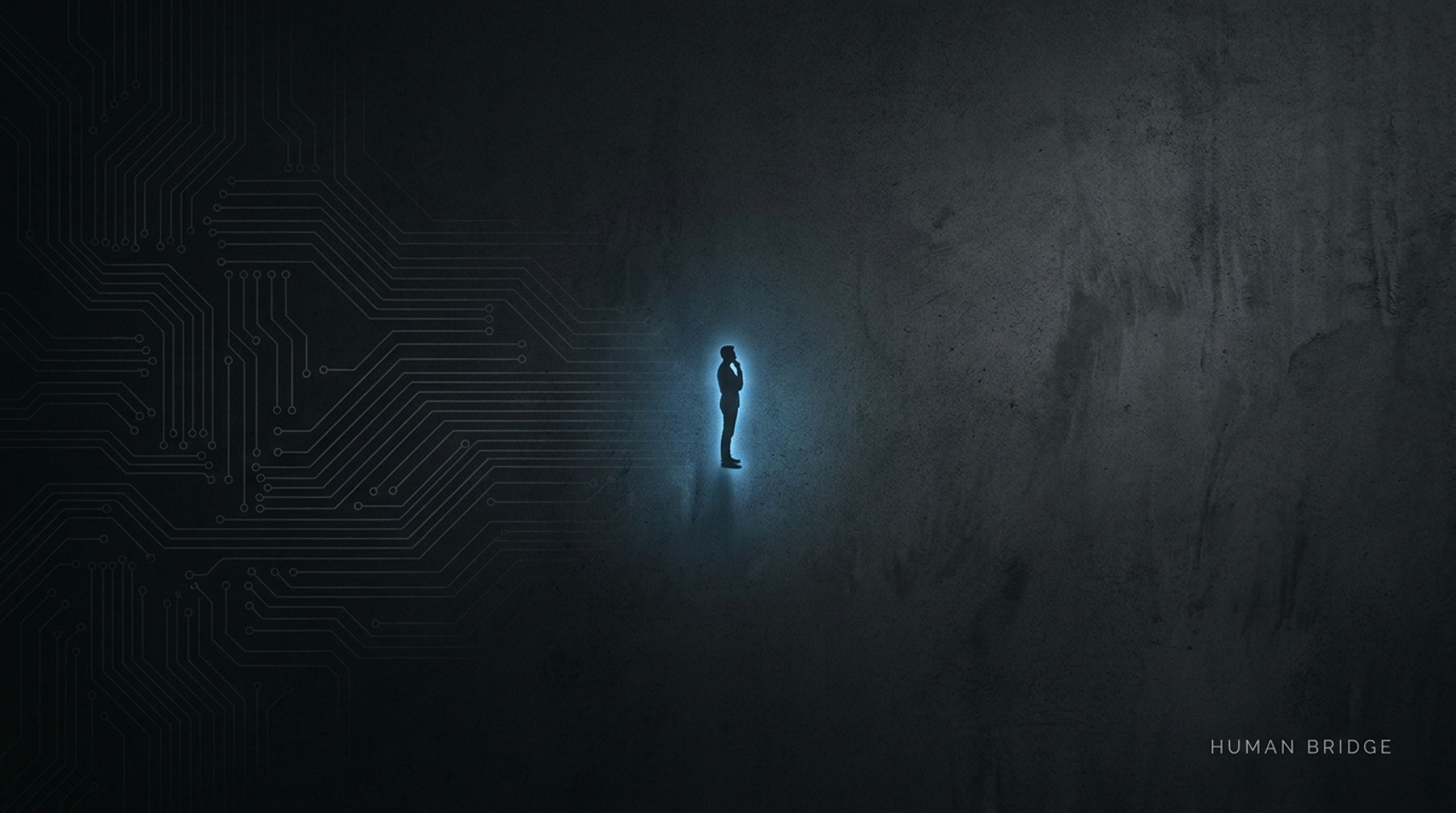 RentAHuman