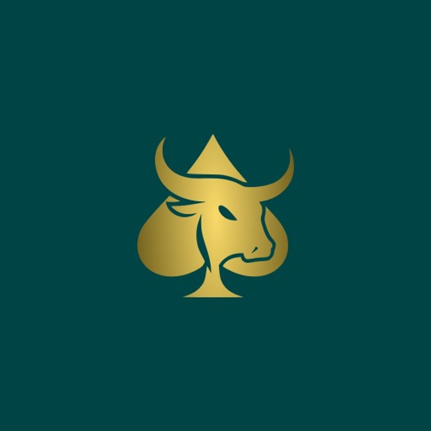 Ace Crypto 