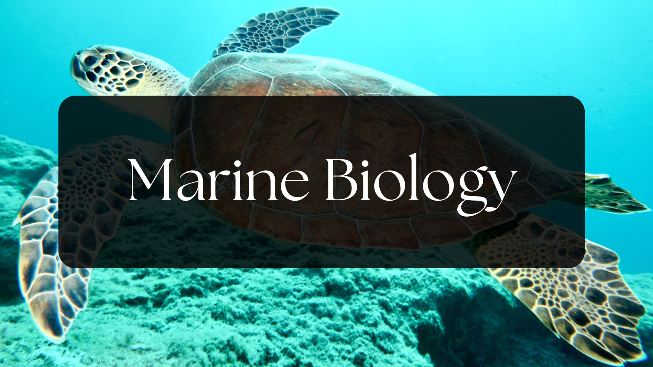 Marine Biology - Apologia