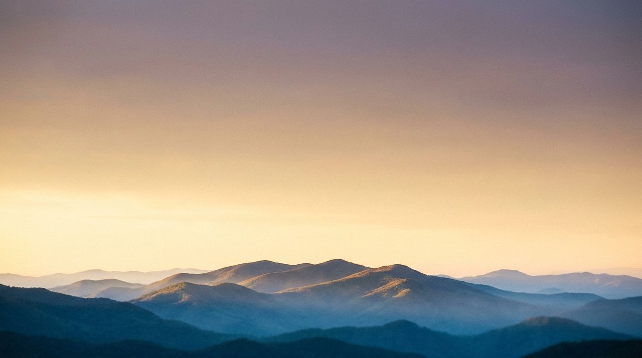 Blue Mountain Collective