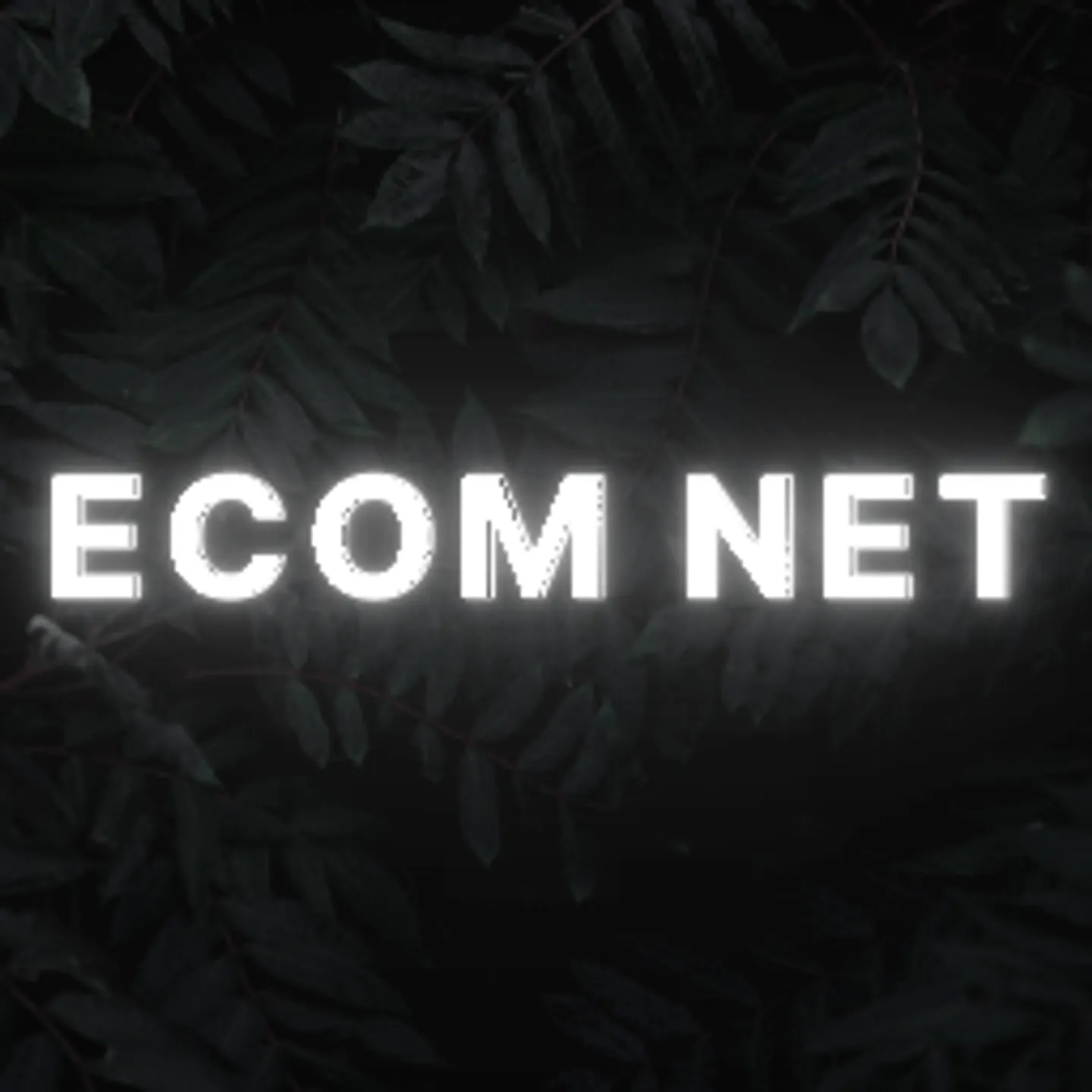 Ecom Warriors
