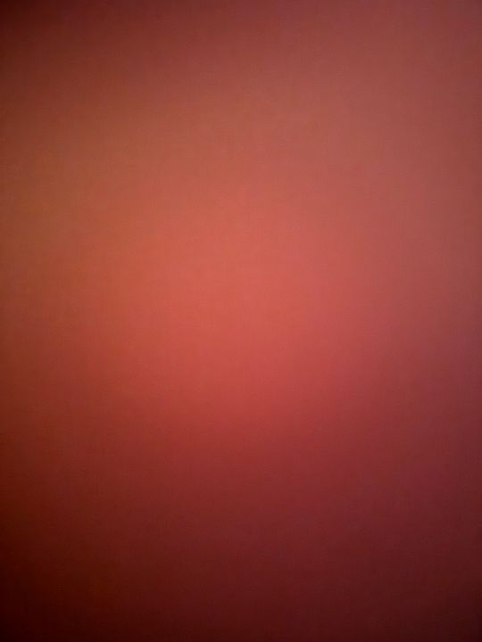 social media management 