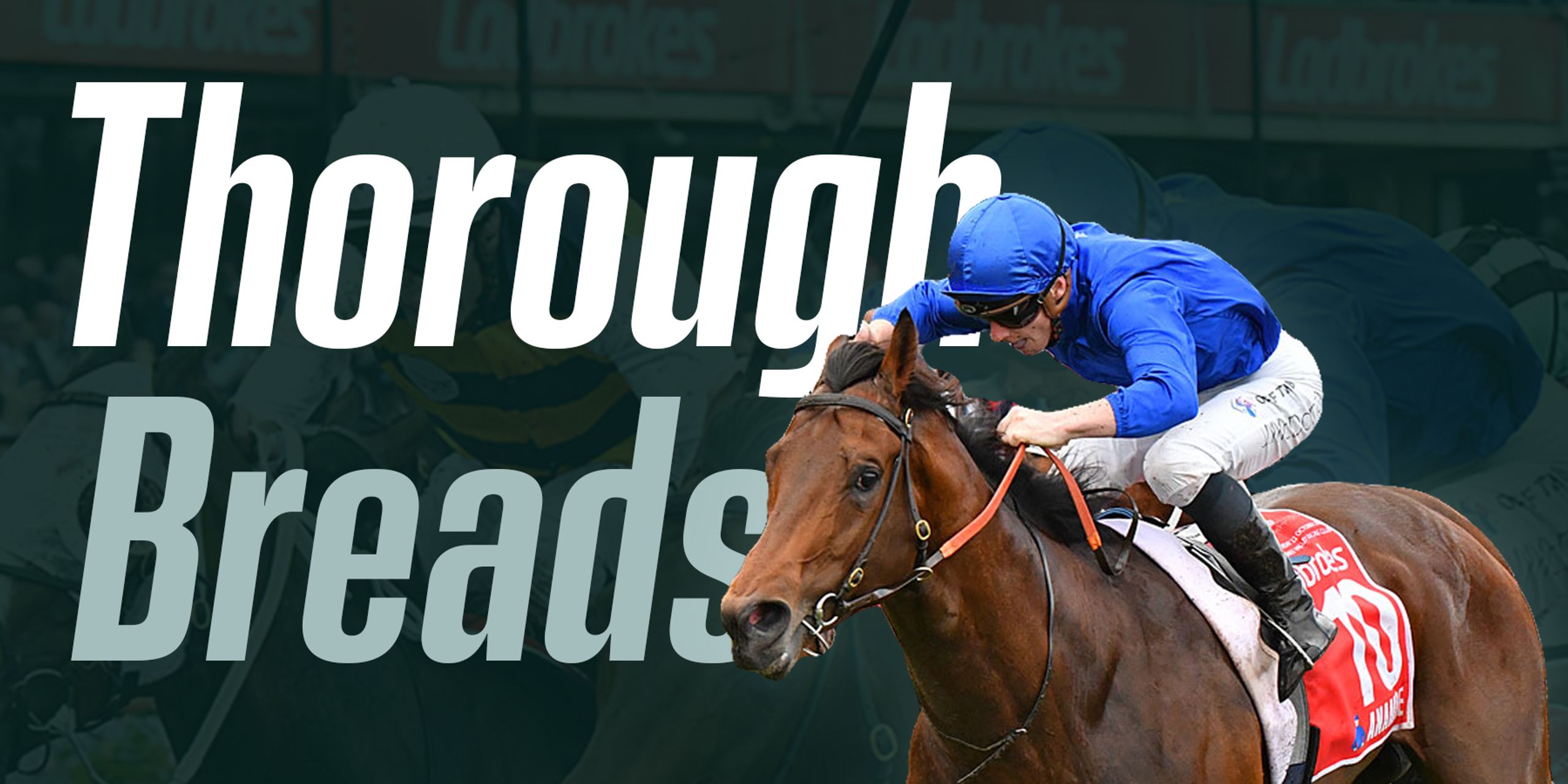 ThoroughBreads