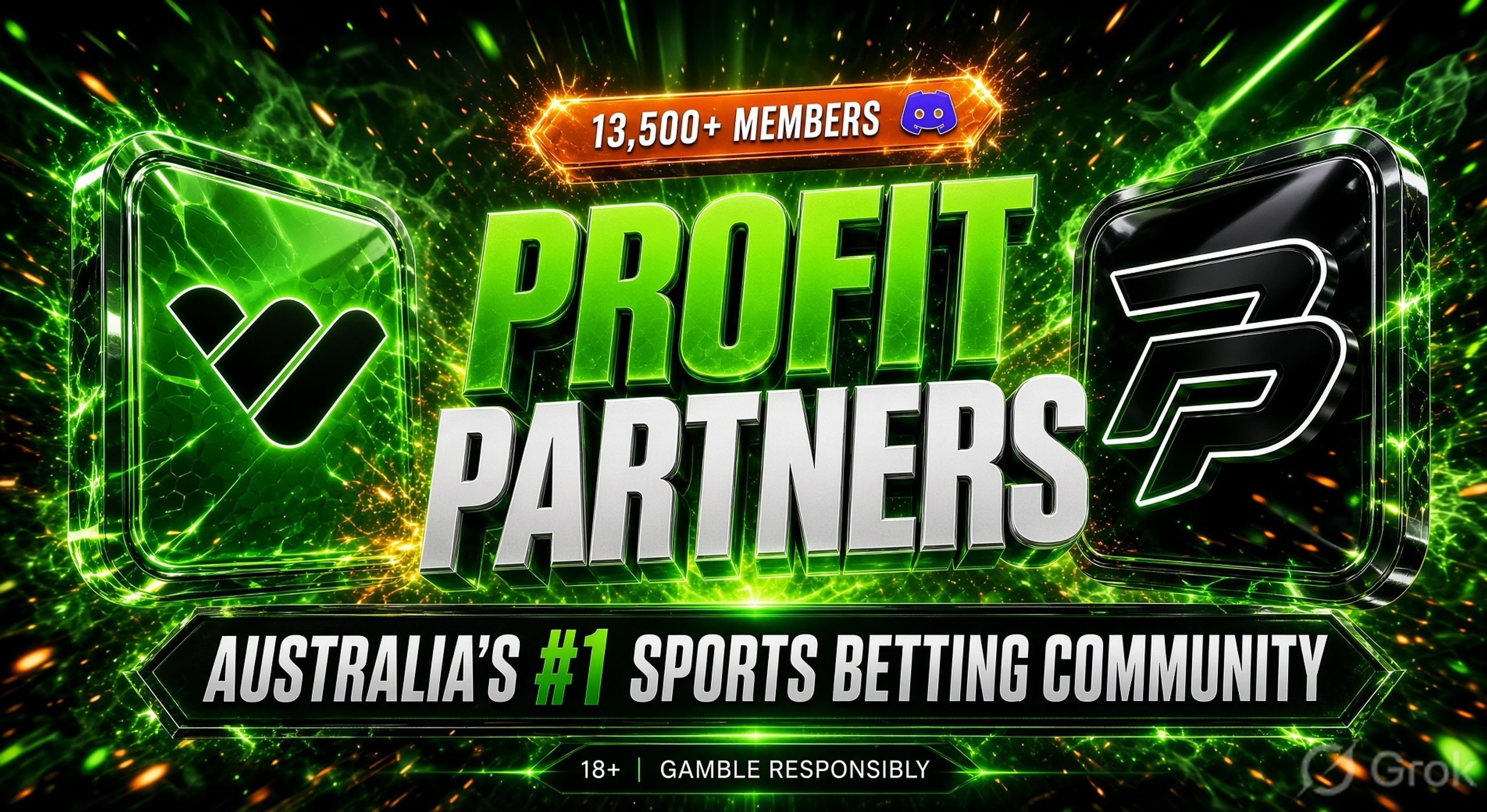 PROFIT PARTNERS