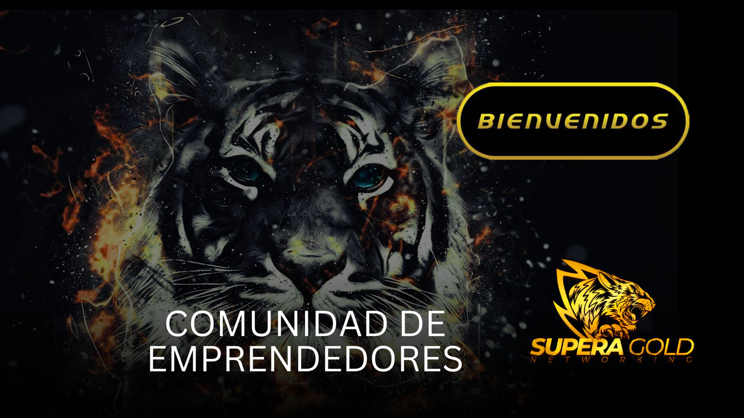 Superagold Academy