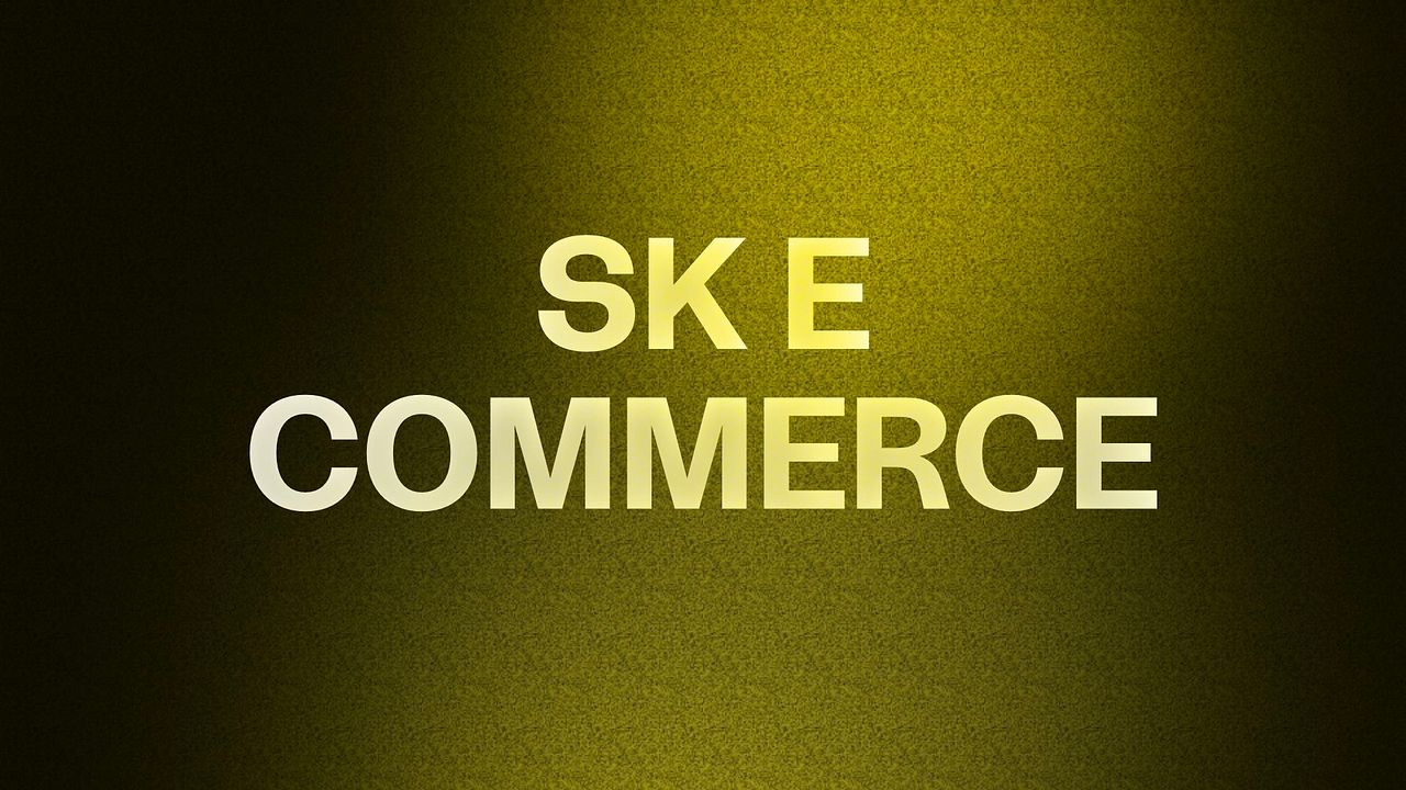 SK E COMMERCE 