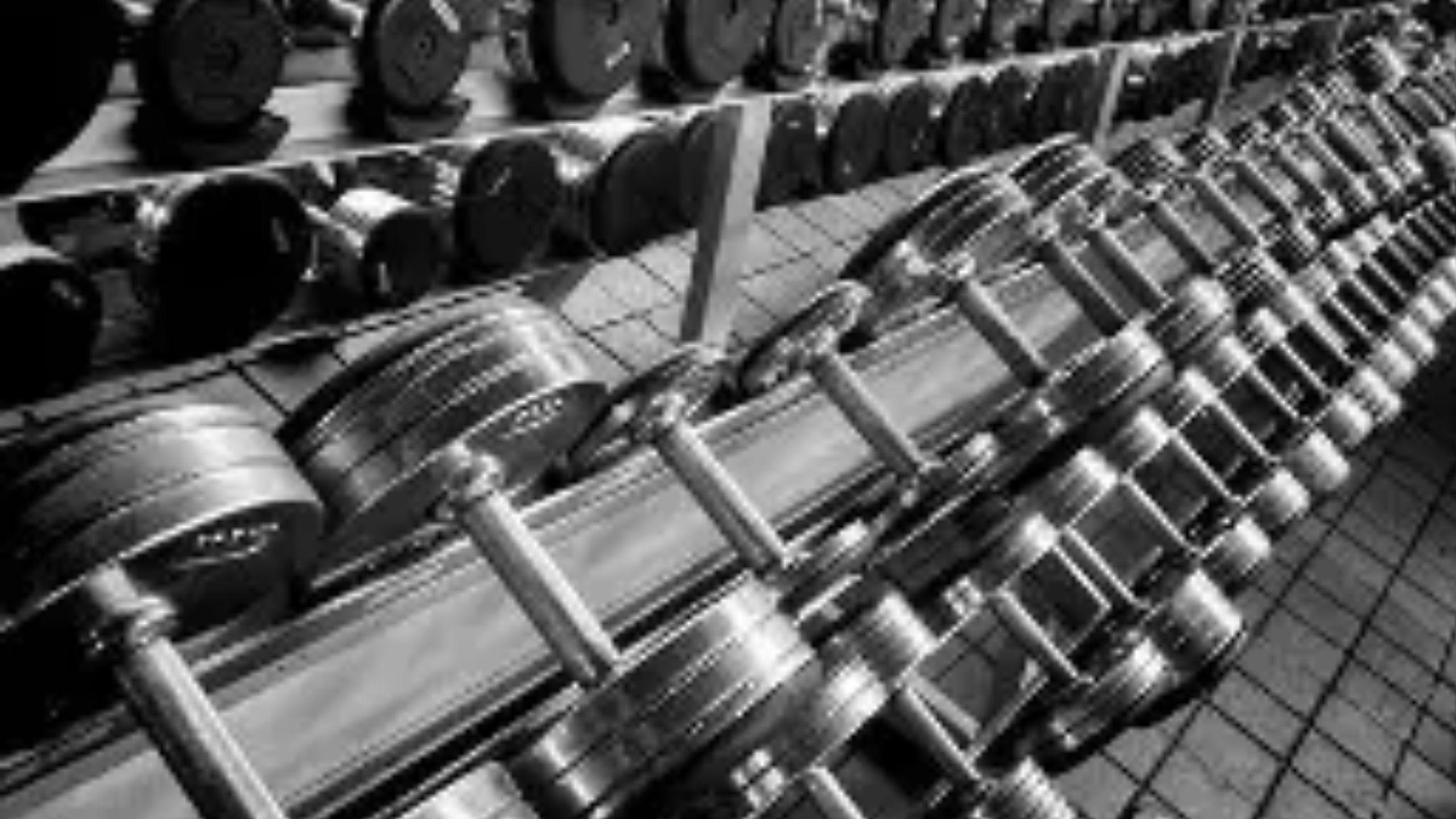 The Gladiator Physique Method