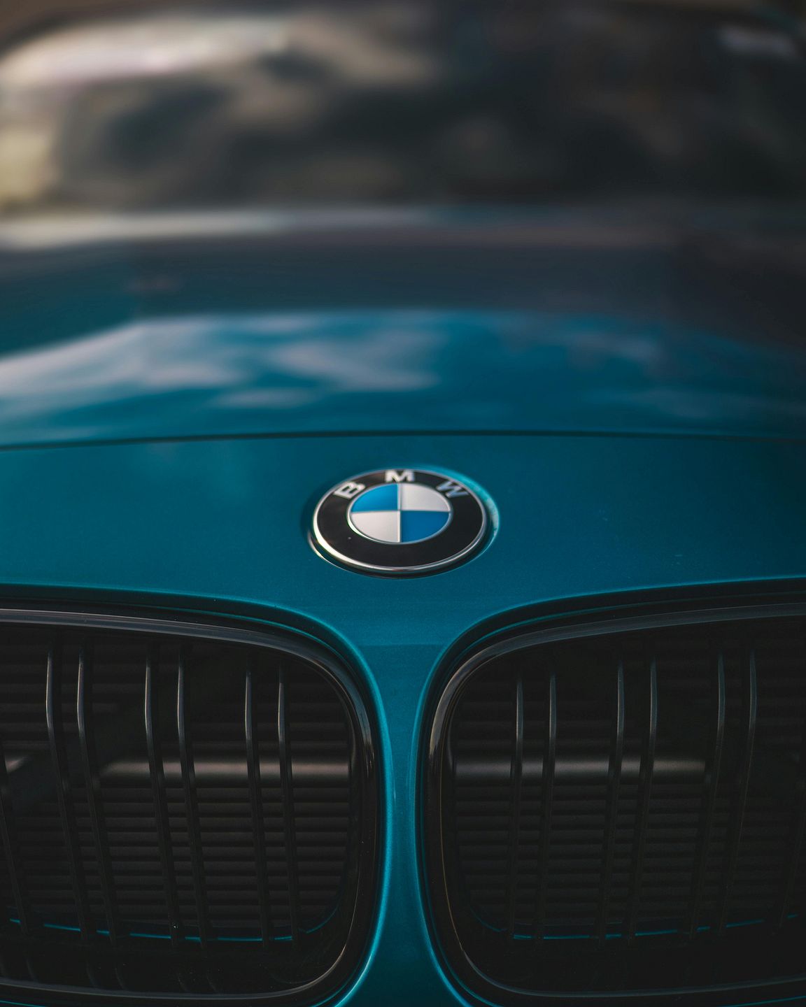 sanford shop