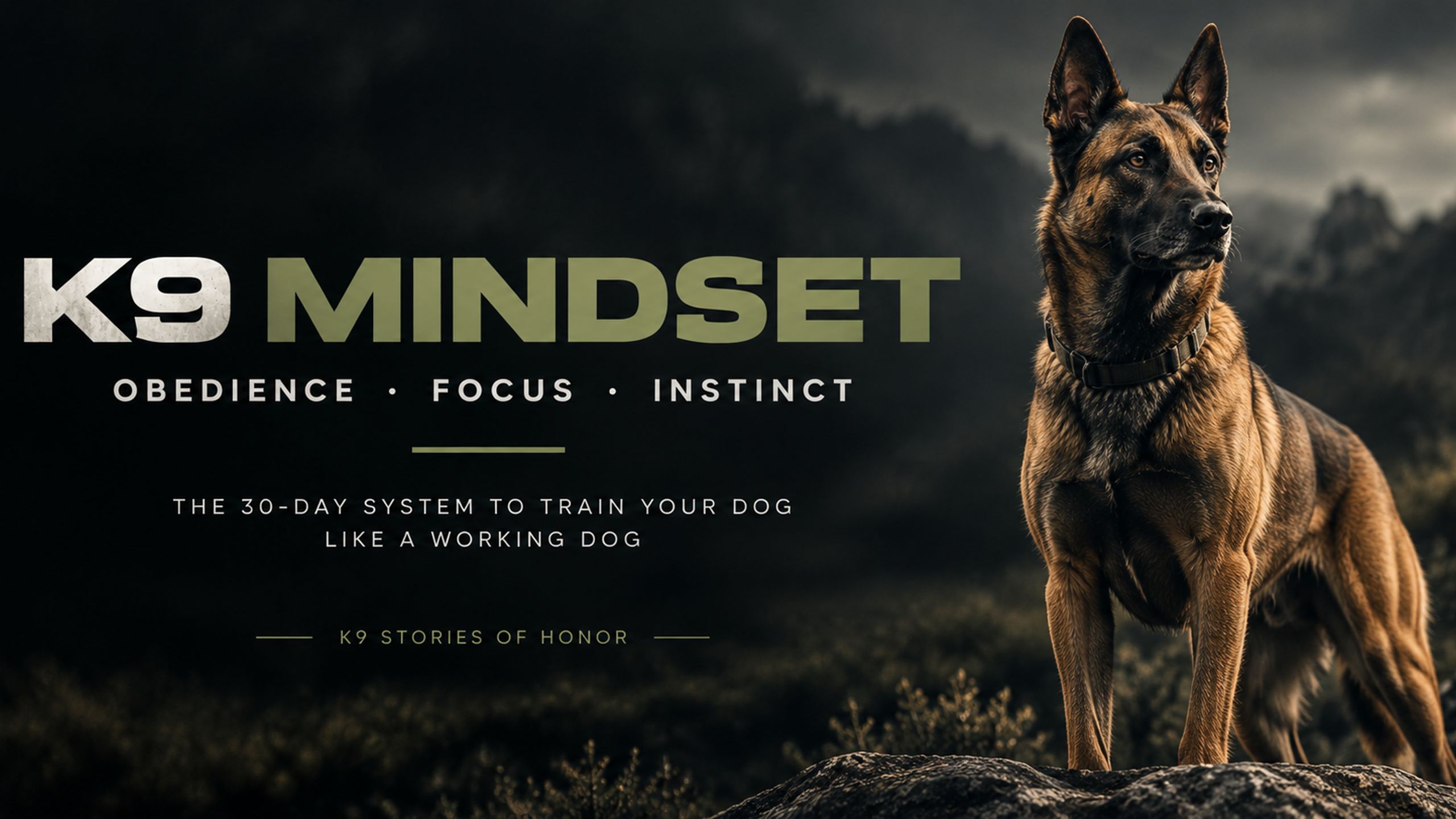 K9 Mindset.