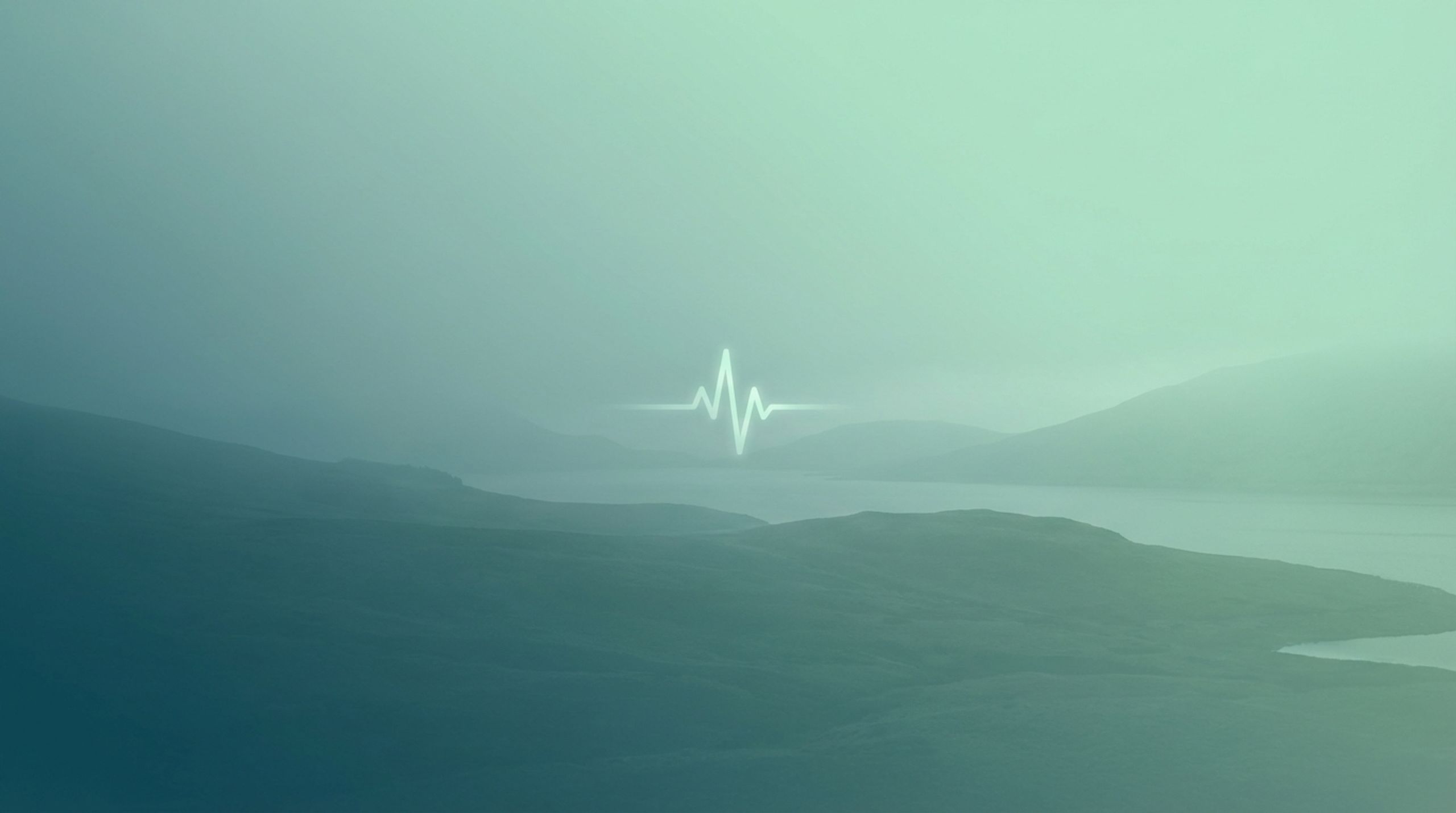 HealthPulse