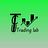 The Come Up Trading Lab logo