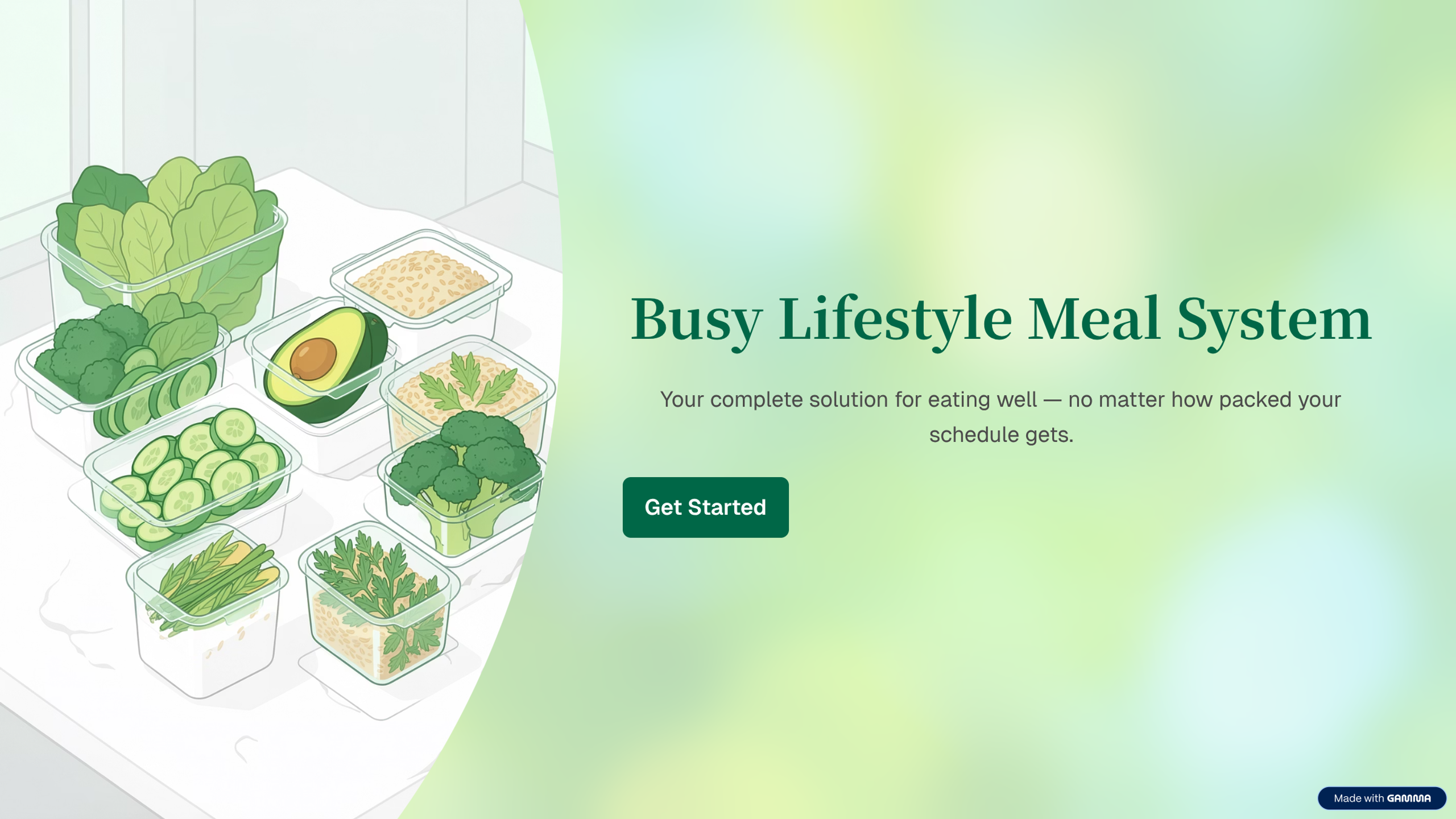Busy Lifestyle Meal System