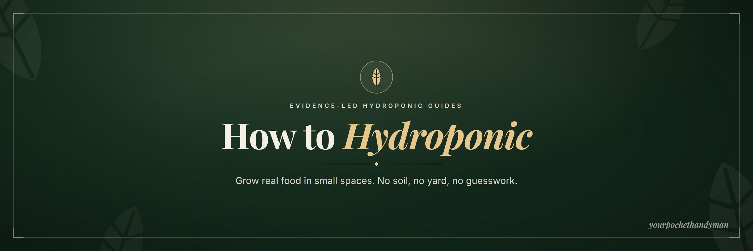 How to Hydroponic
