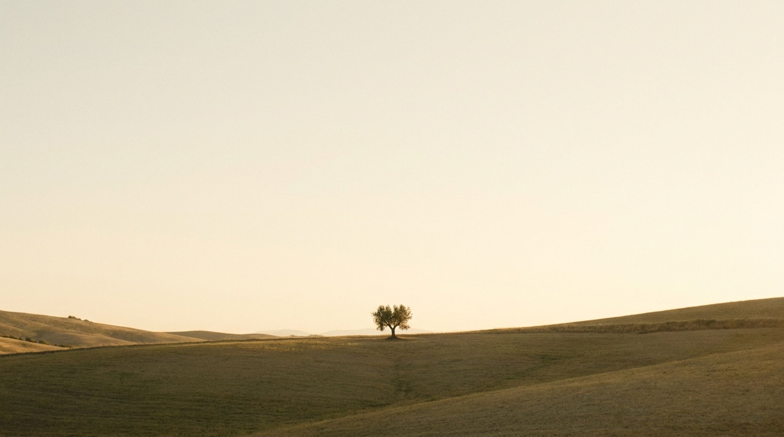 Rooted Faith Co.