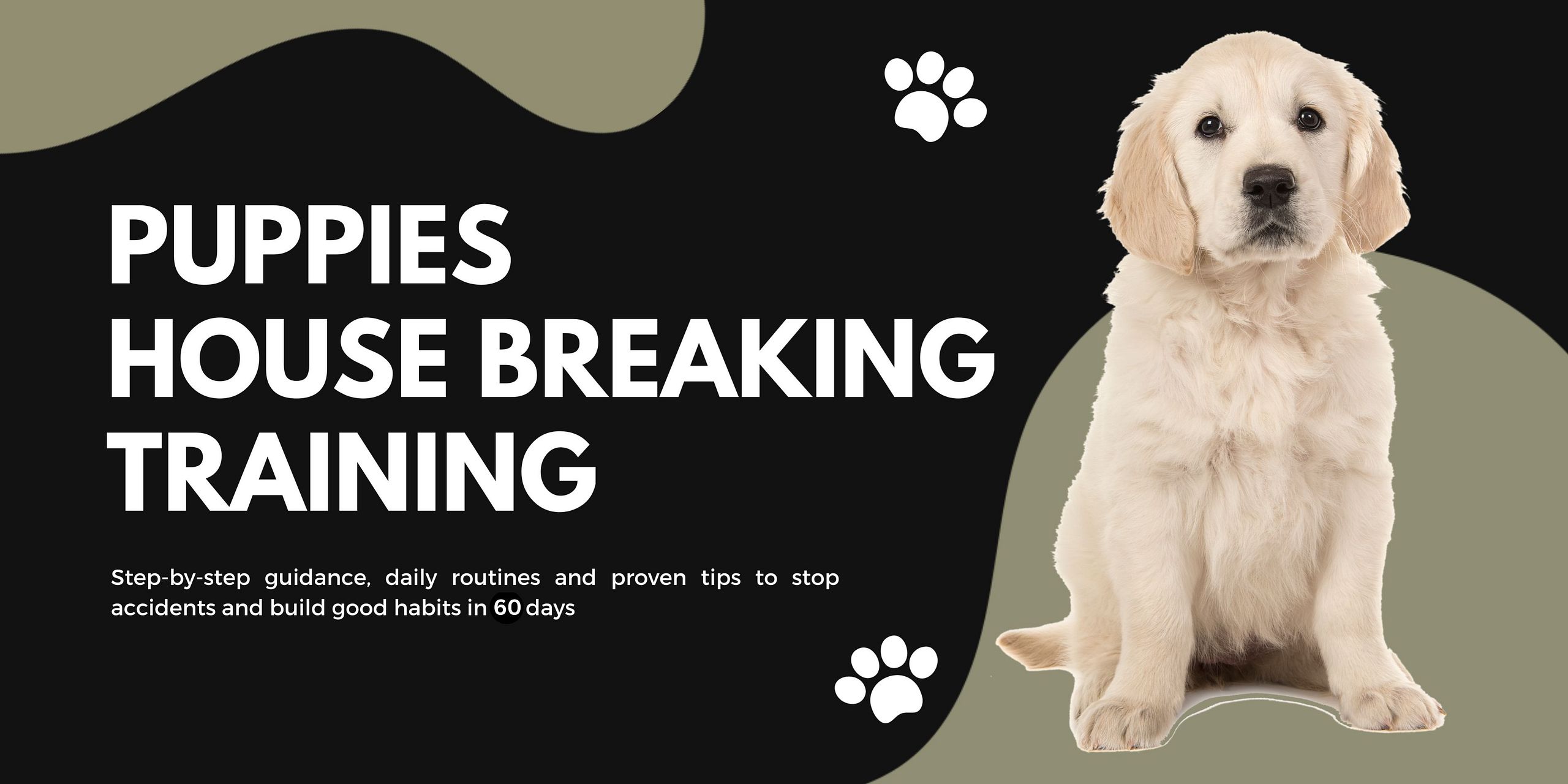 Puppy Housebreaking