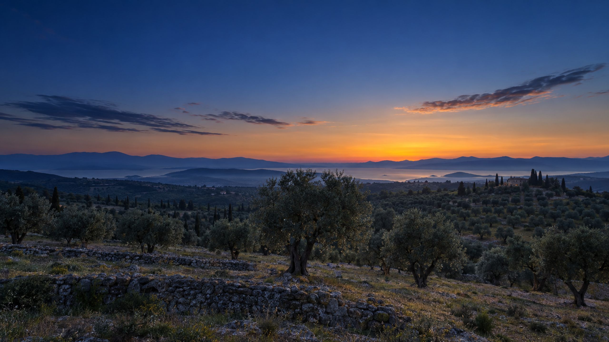Oasis of Hope