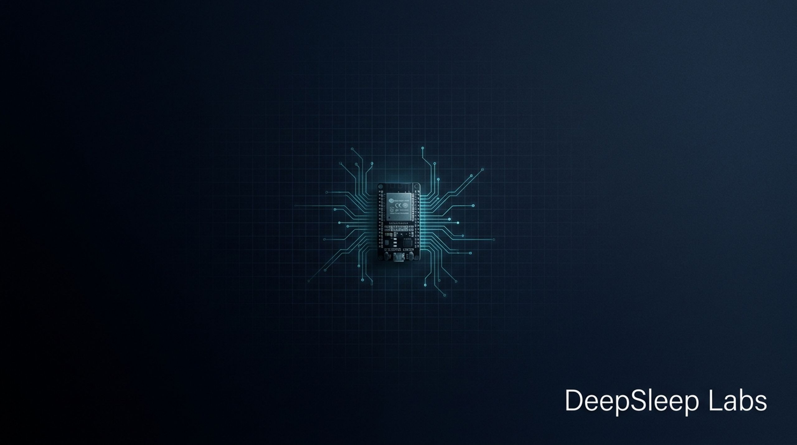 DeepSleep Labs