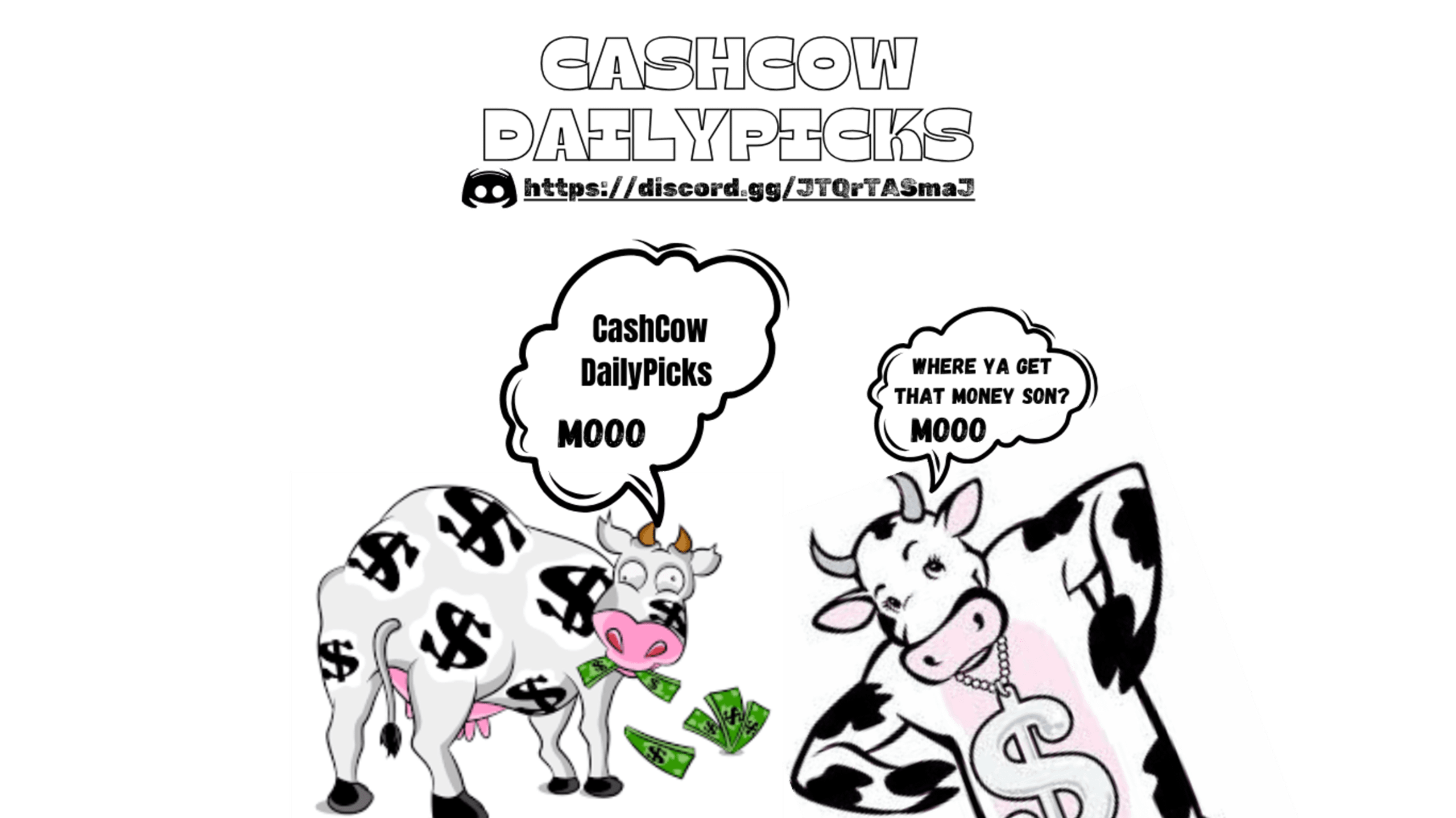 Cash Cow Daily Picks