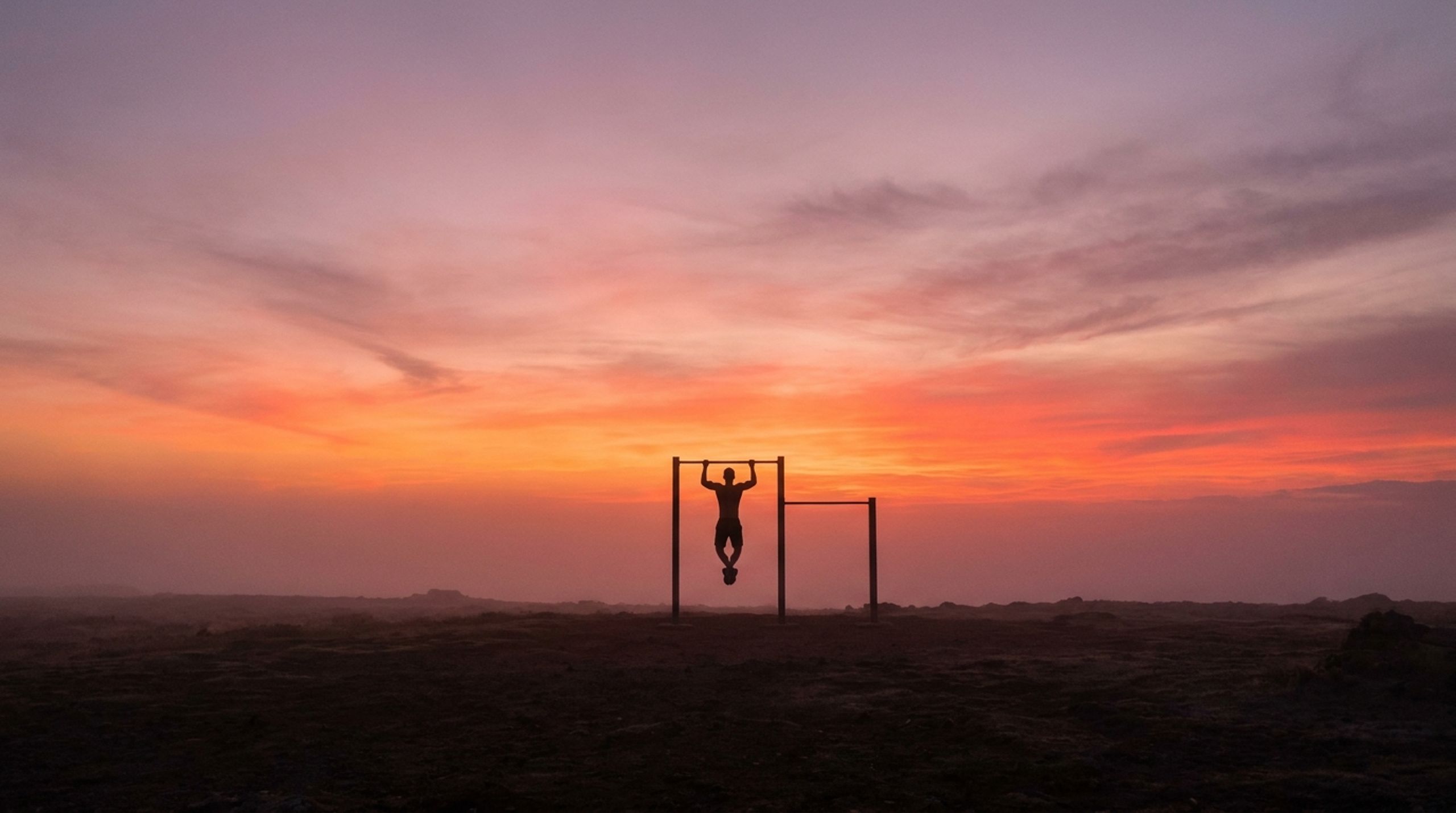 PinkForge Fitness Coaching