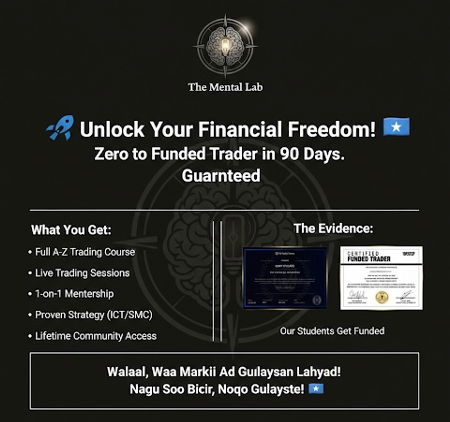 The Mental Lab