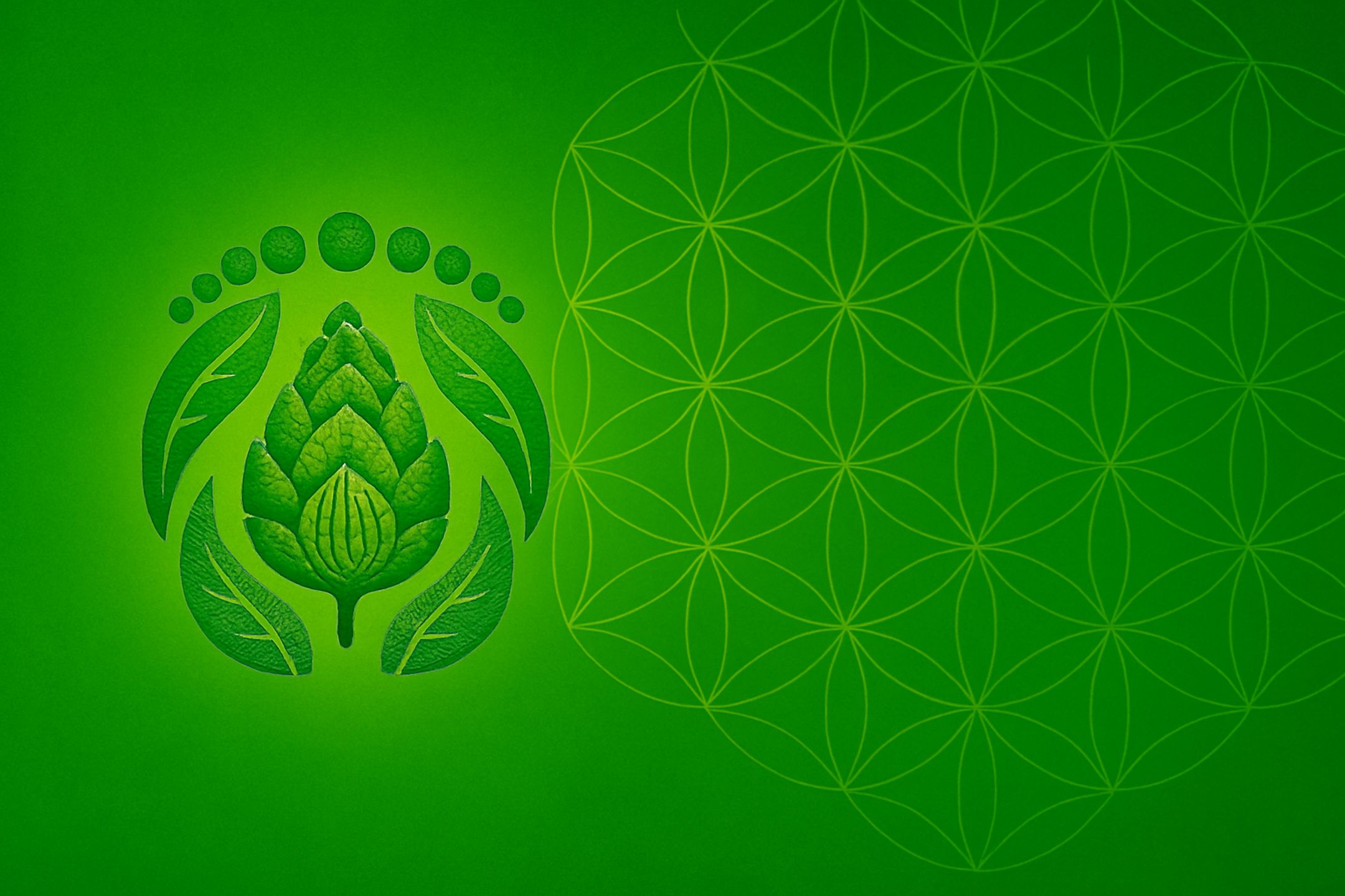 HolisticHelp