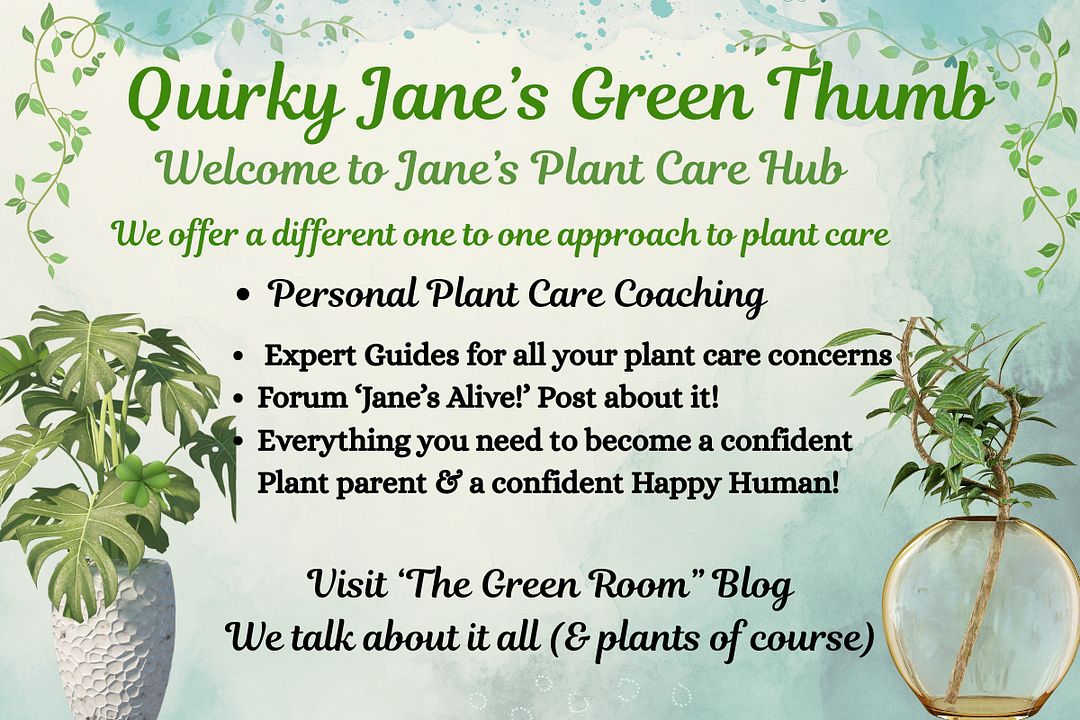 Quircky Jane's Green Thumb