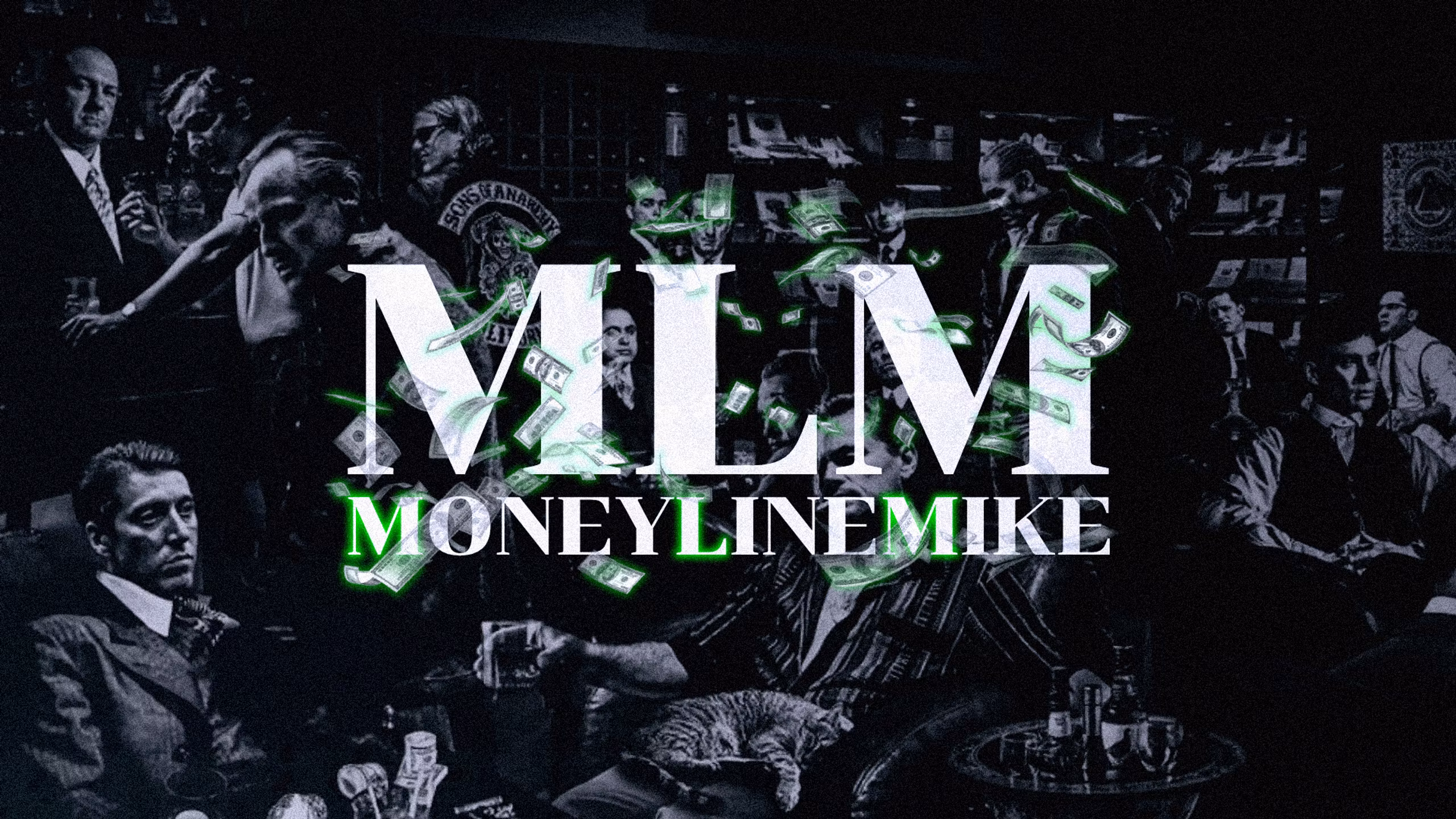 MLM Consulting