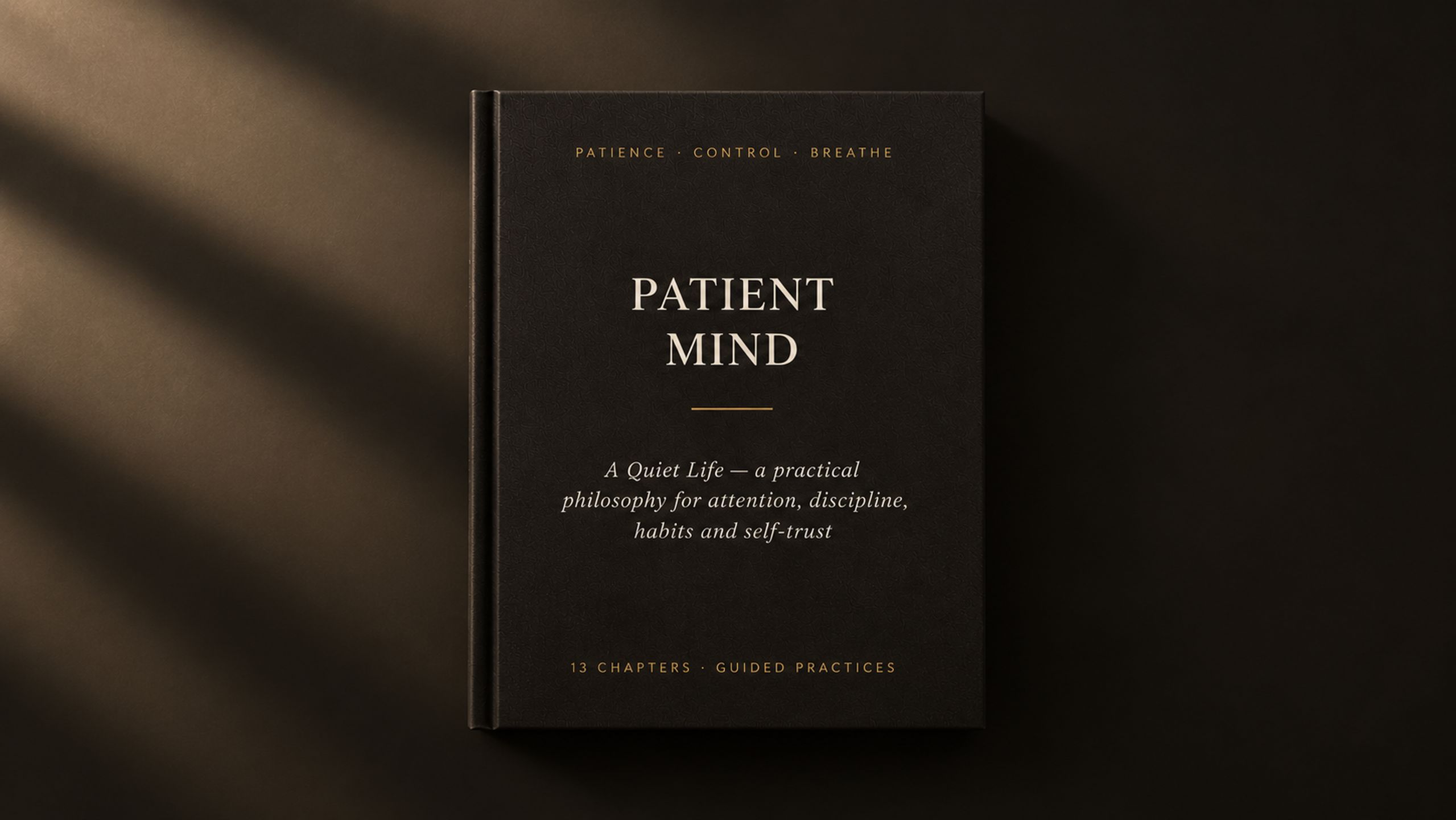 The Patient Mindset's business
