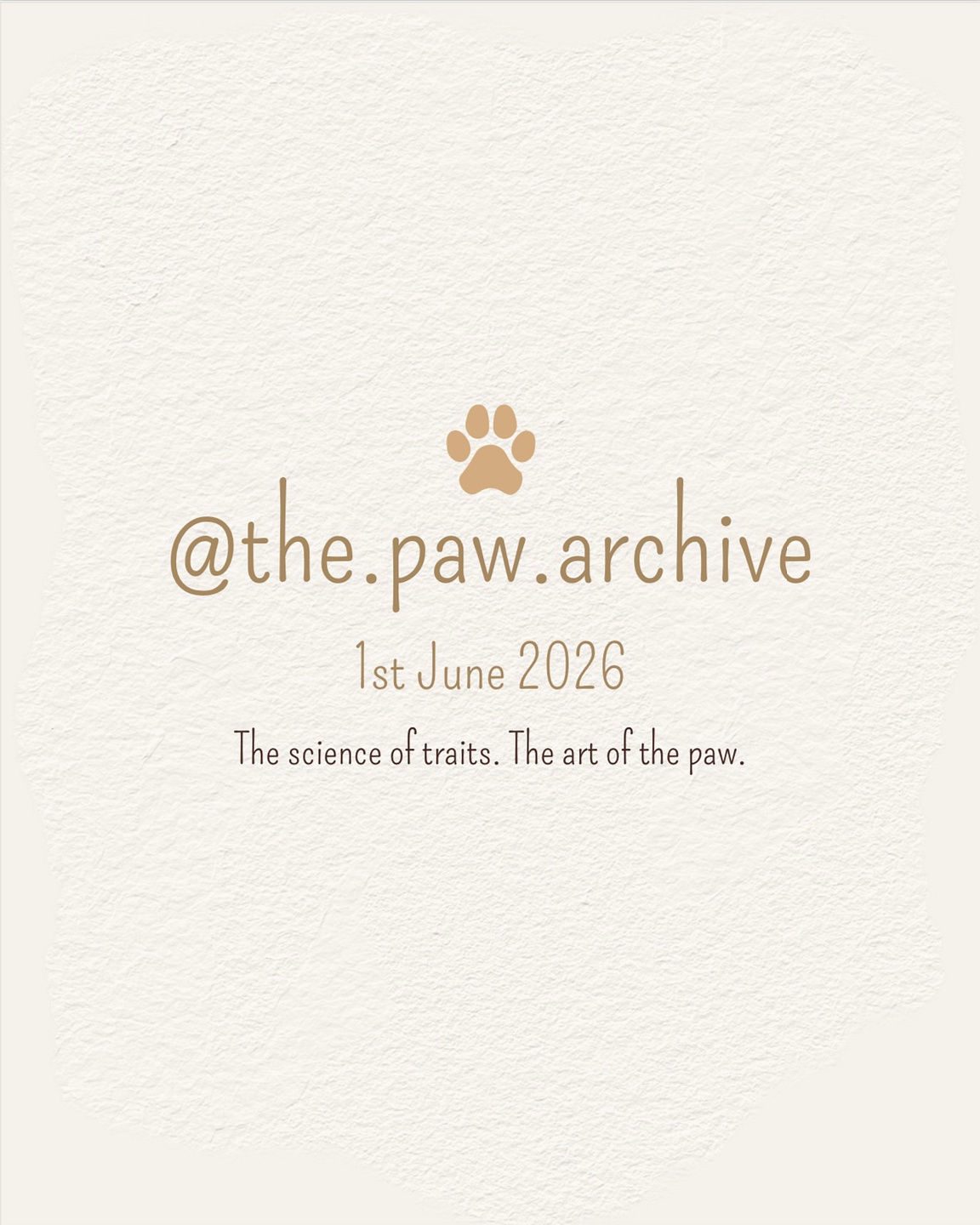 The Paw Archive - S1