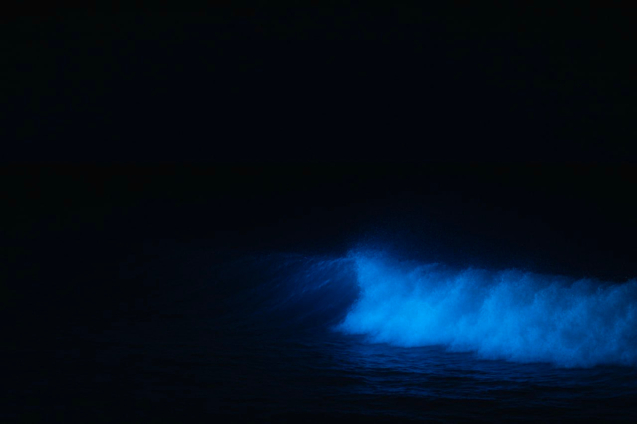 Wave Runner