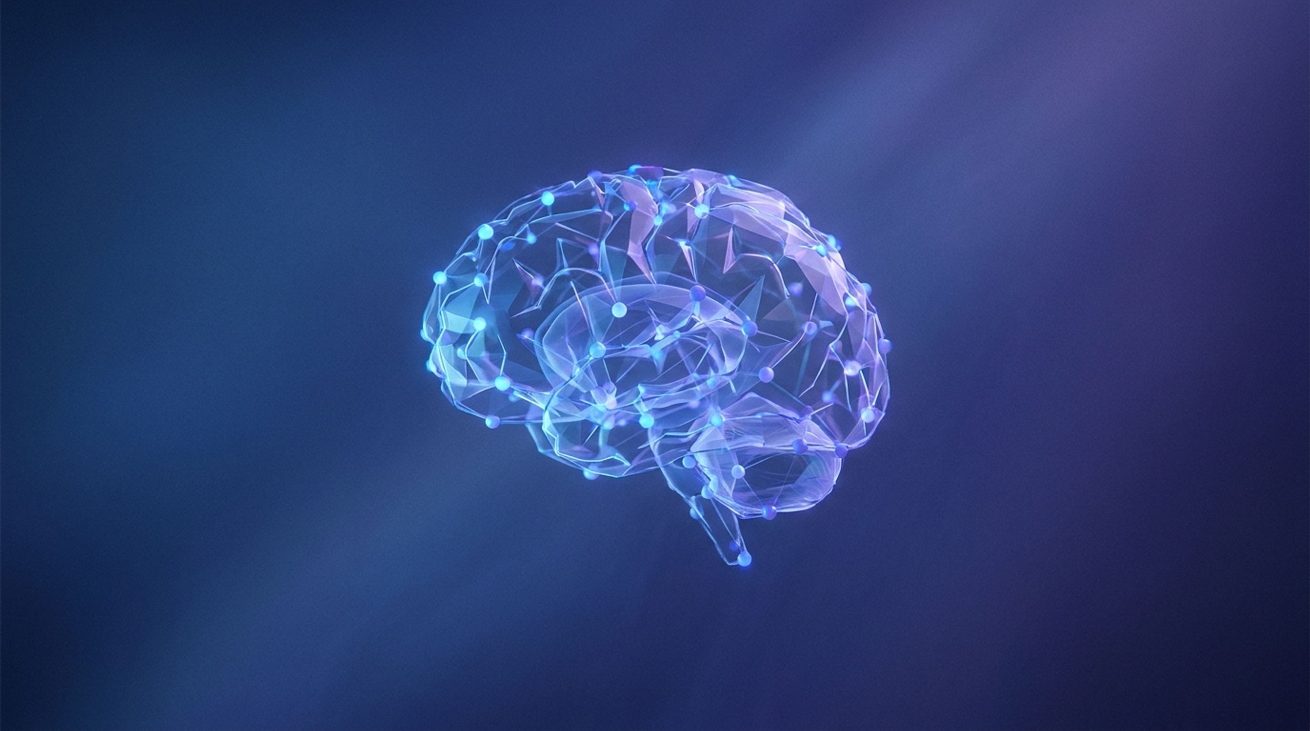 Second Brain Pro