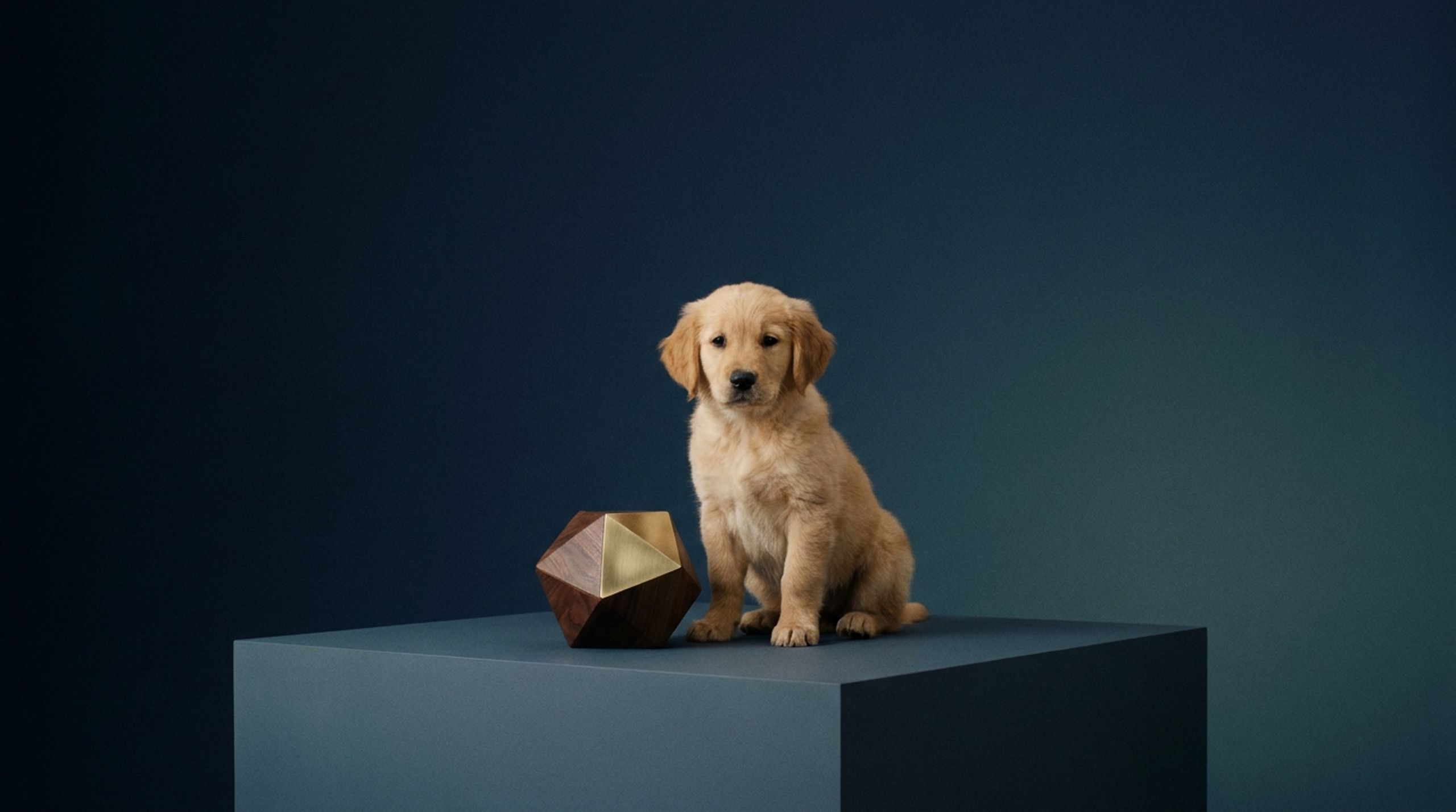 PetVault