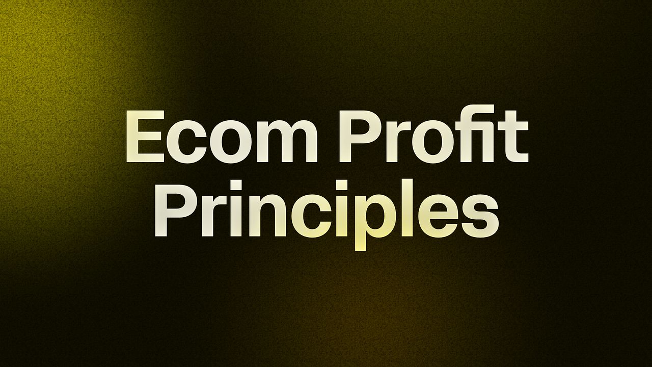 Ecom Profit Principles