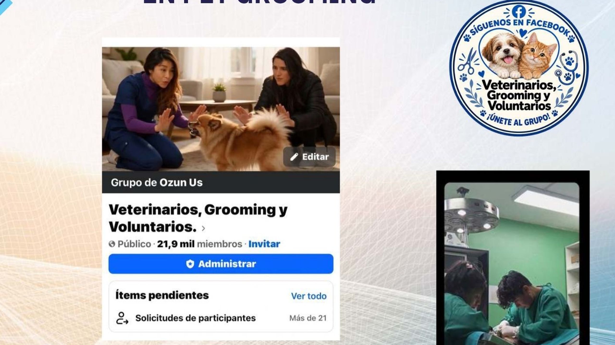 Veterinarias grooming y voluntarios
